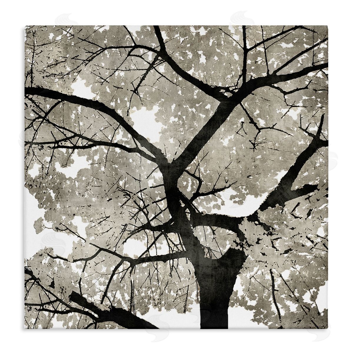 Kate Bennett Abstract Tree Branches Bold Black Grey Wilderness Stretched Canvas Wall Art Print