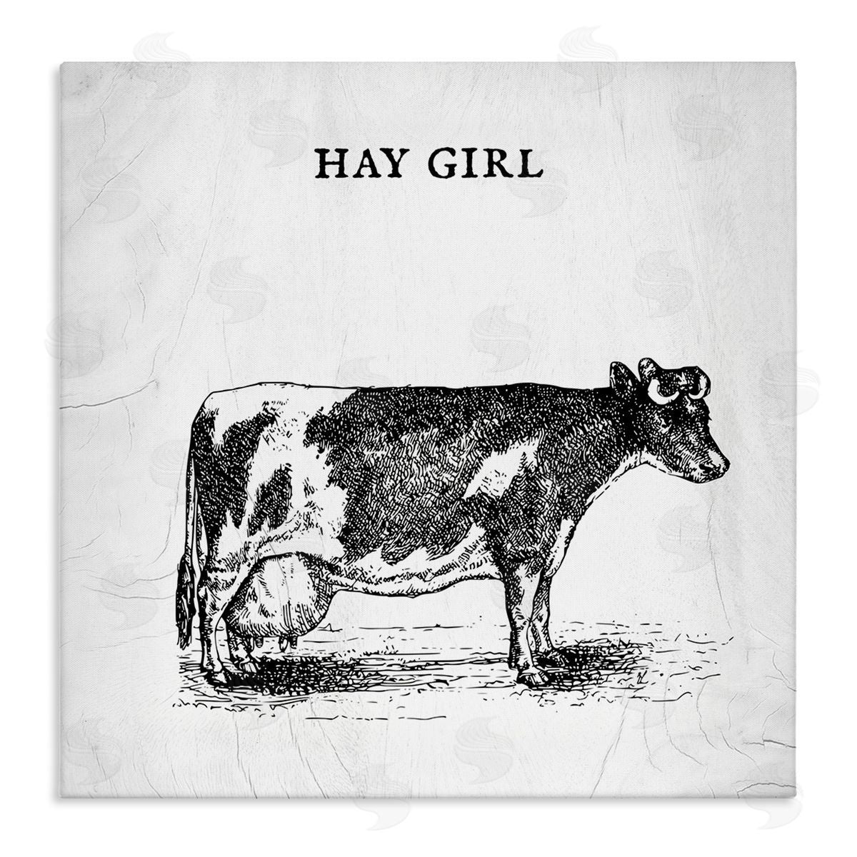 Stupell Studio Hay Girl Funny Phrase Farmhouse Dairy Cow Pun Stretched Canvas Wall Art Print
