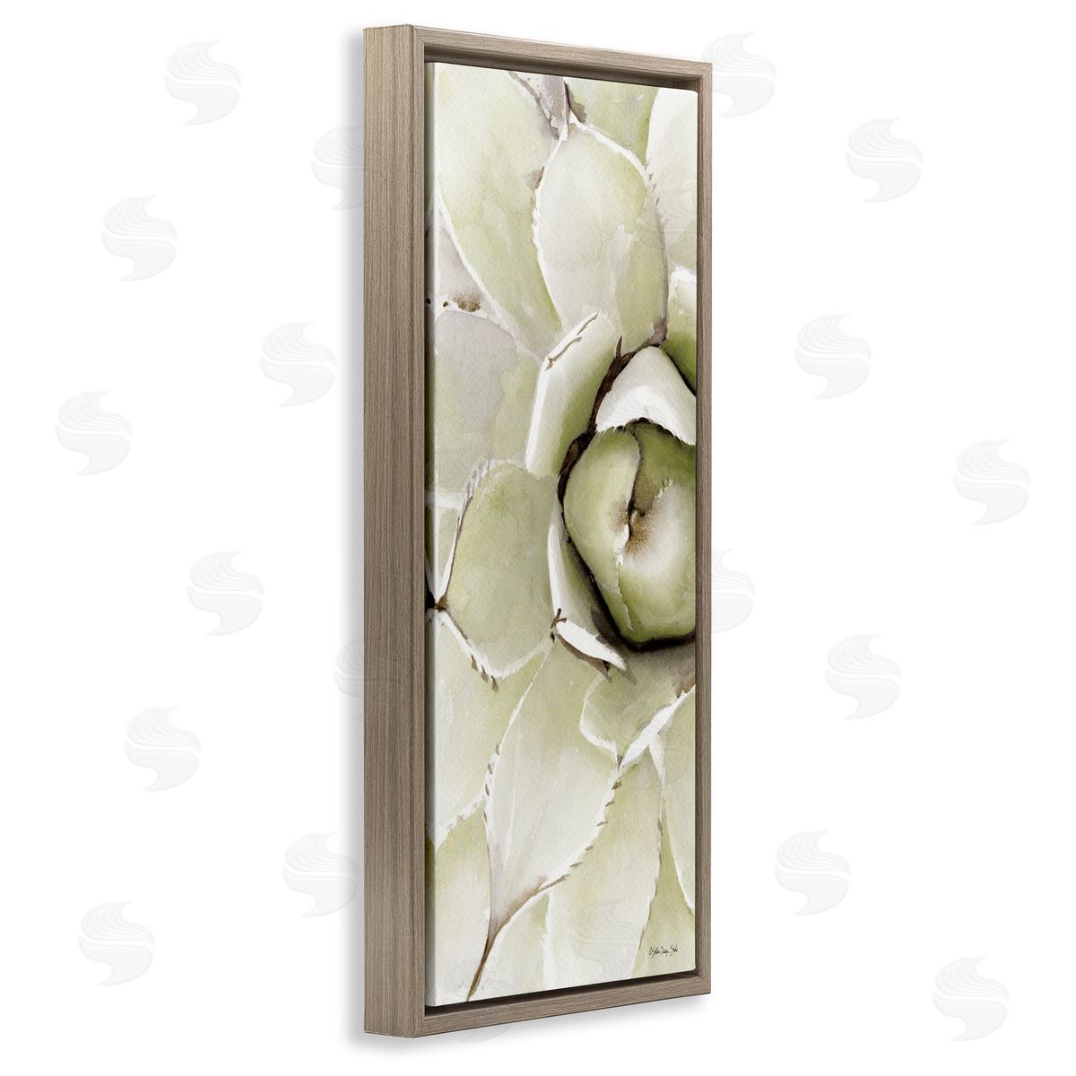 Stellar Design Studio Succulent Bulb Blossom Green Plant Modern Watercolor Painting