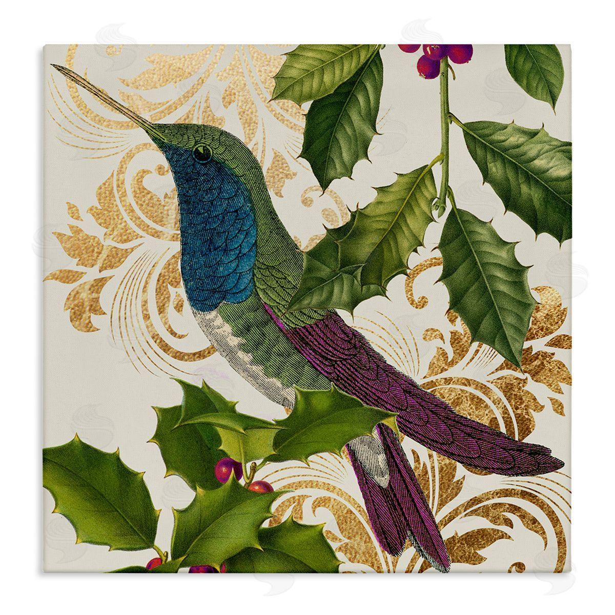 Stupell Studio Curious Hummingbird Golden Pattern Winter Holly Bird Stretched Canvas Wall Art Print