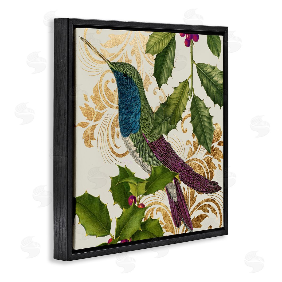 Stupell Studio Curious Hummingbird Golden Pattern Winter Holly Bird Black Floating Frame Canvas Wall Art Print