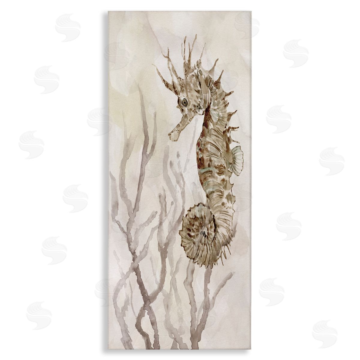 Carol Robinson Shy Seahorse Confined Fluid Seaweed Animal Sea Life