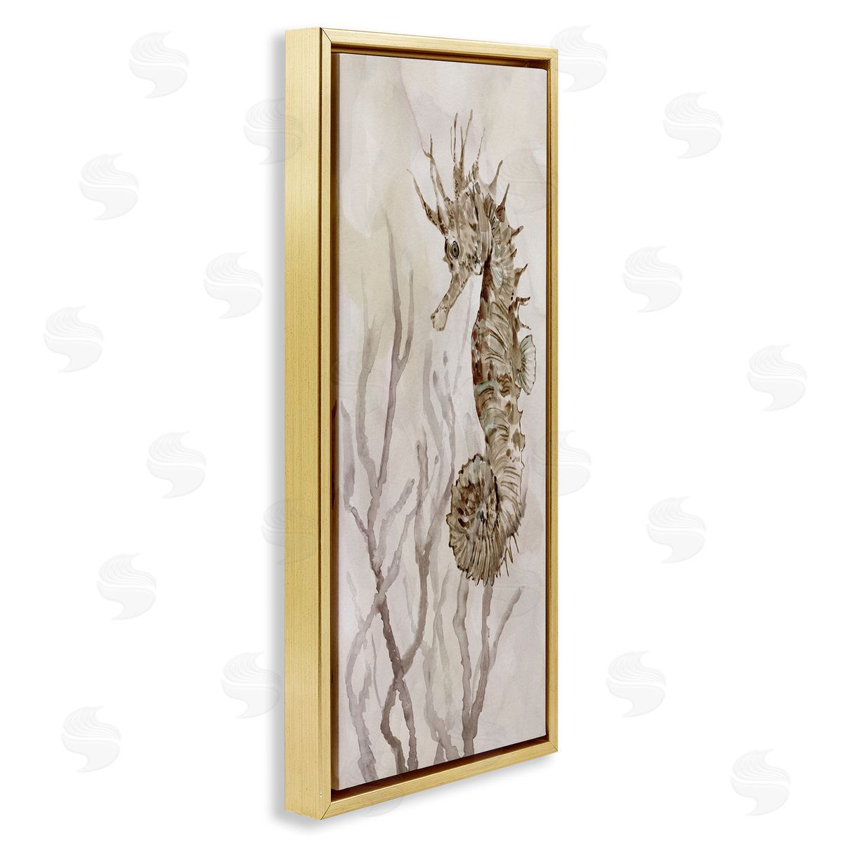 Carol Robinson Shy Seahorse Confined Fluid Seaweed Animal Sea Life