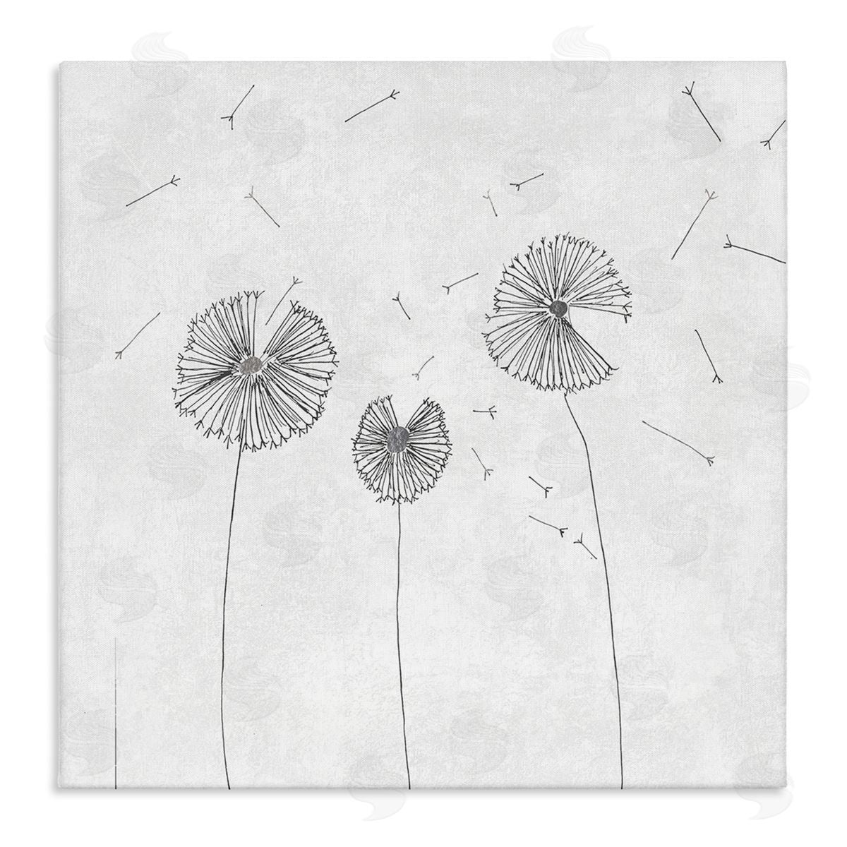 Cloverfield & Co. Dandelion Florals Flying Seeds Flower Line Art Drawing Stretched Canvas Wall Art Print
