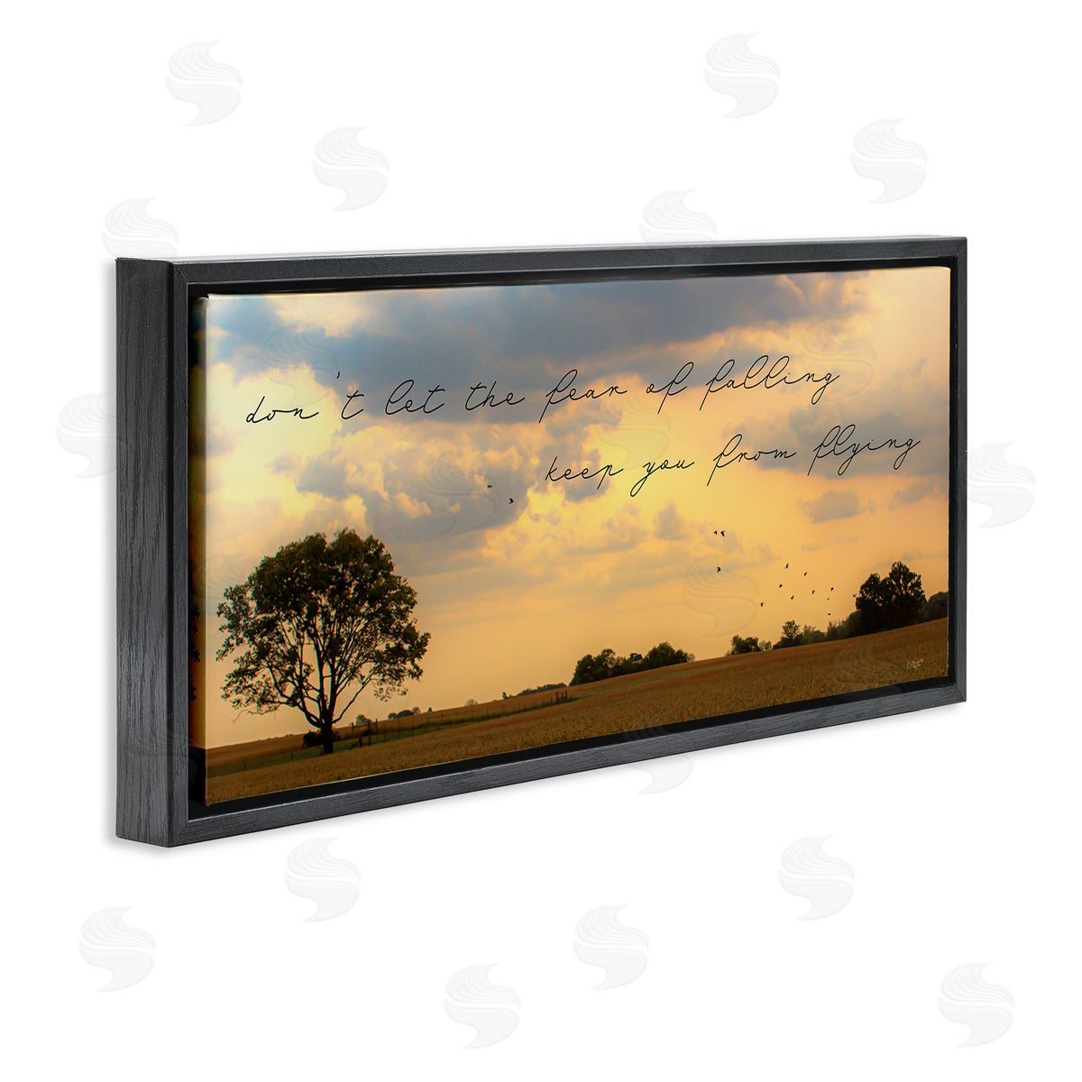 Donnie Quillen Fear of Falling Motivational Adversity Phrase Sunset Park