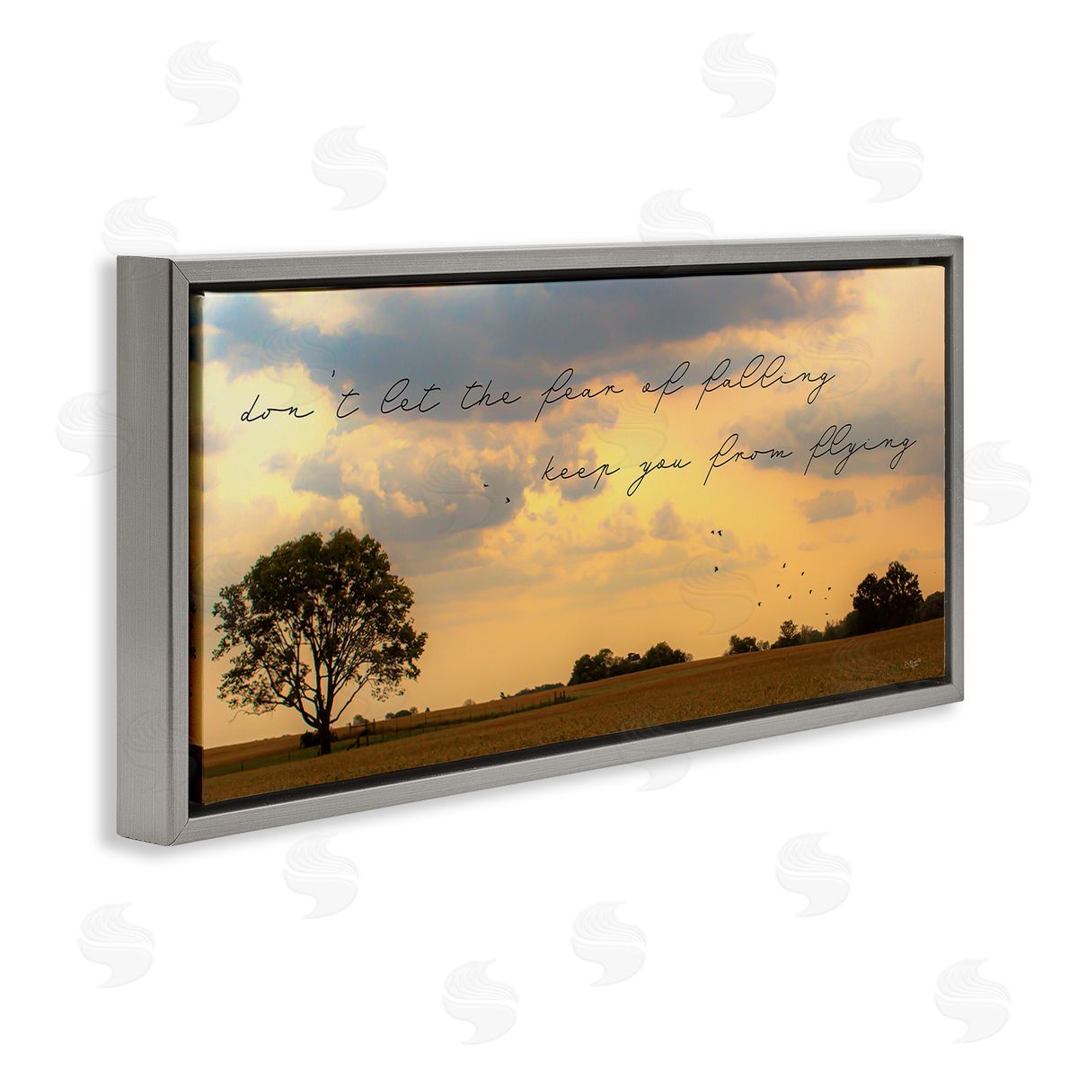 Donnie Quillen Fear of Falling Motivational Adversity Phrase Sunset Park