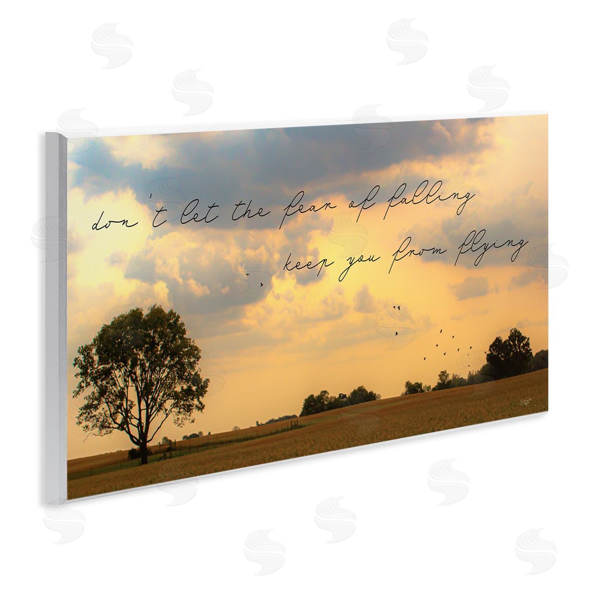 Donnie Quillen Fear of Falling Motivational Adversity Phrase Sunset Park