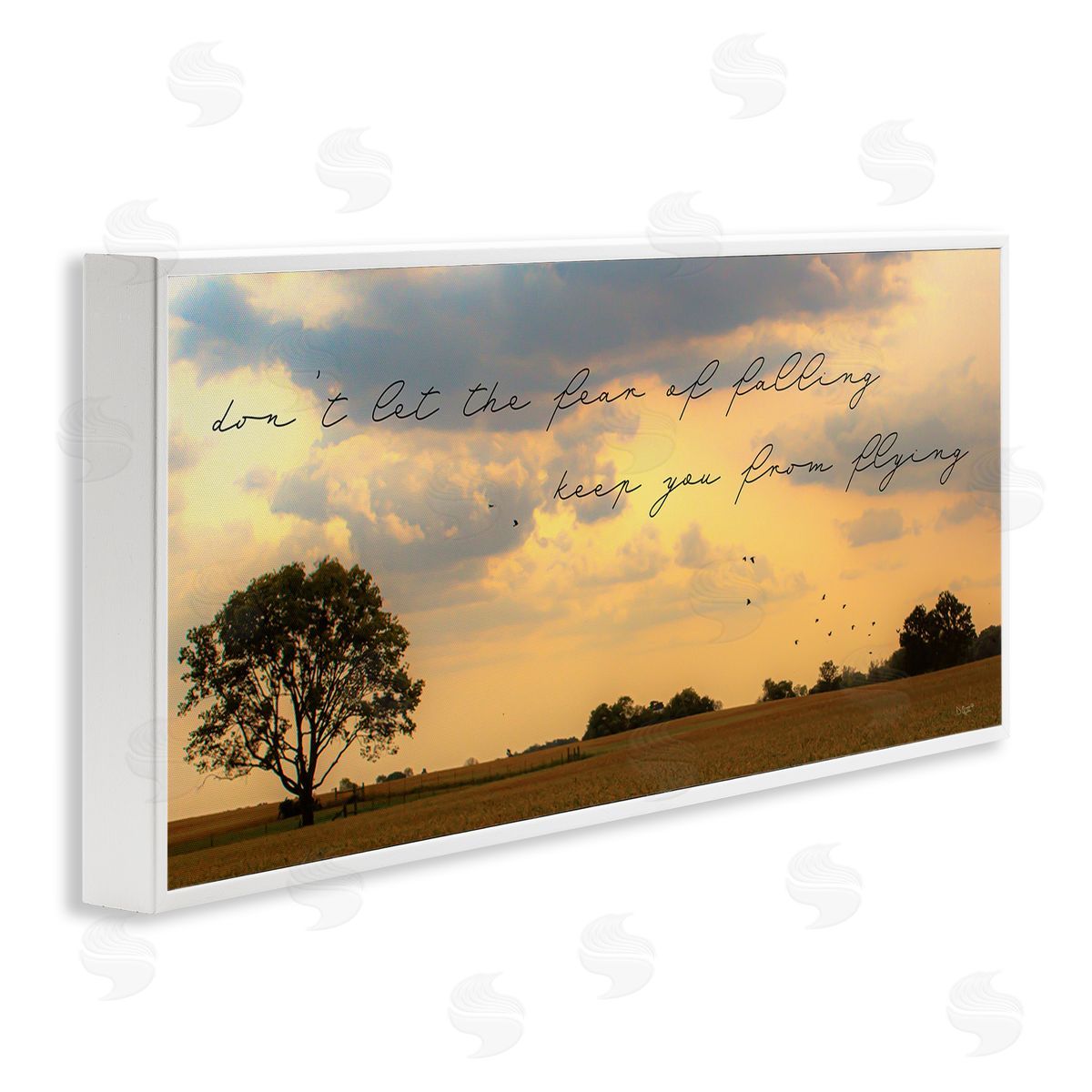 Donnie Quillen Fear of Falling Motivational Adversity Phrase Sunset Park