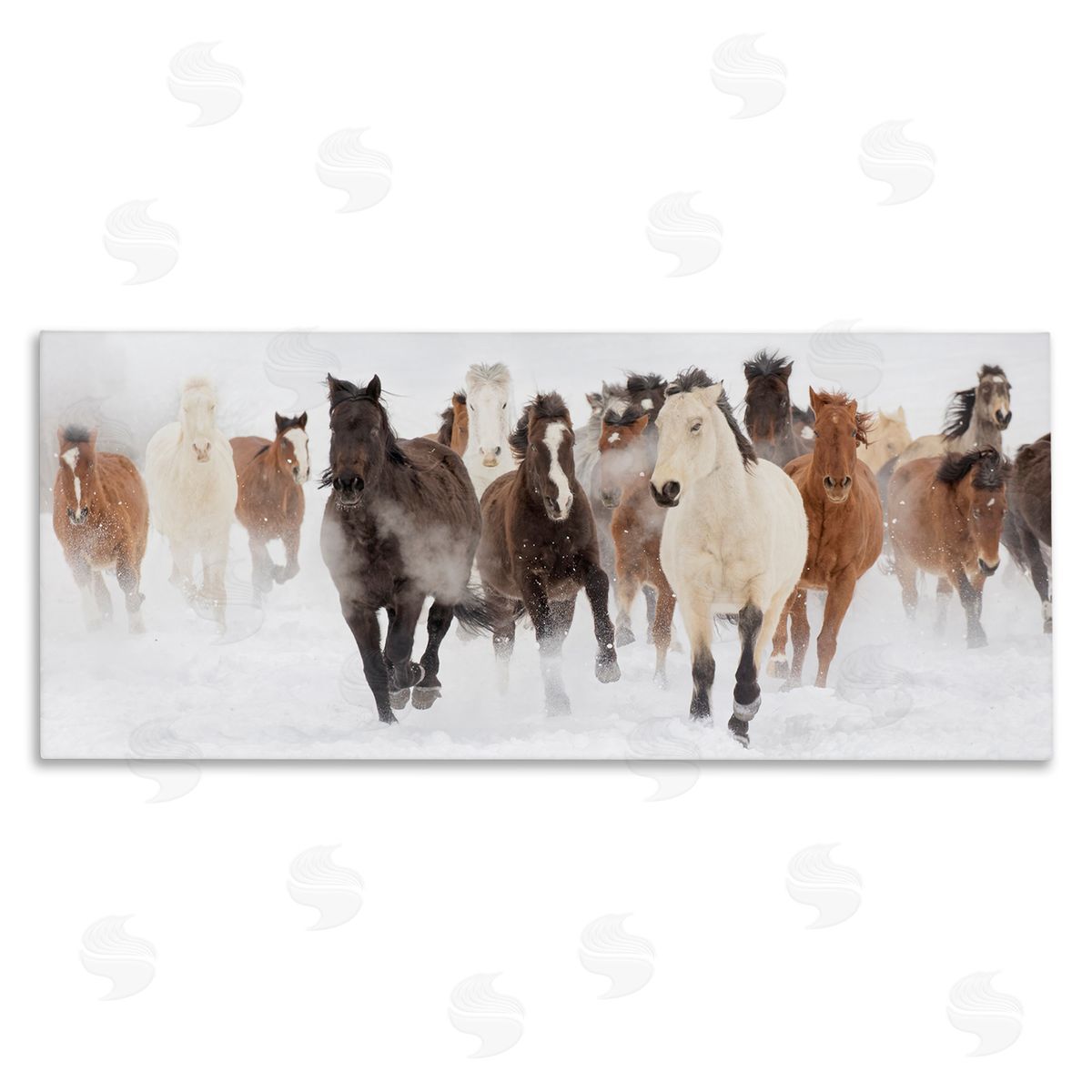 Wild Horses Herd Foggy Winter Canvas Wall Art, Home Decor by Danita Delimont