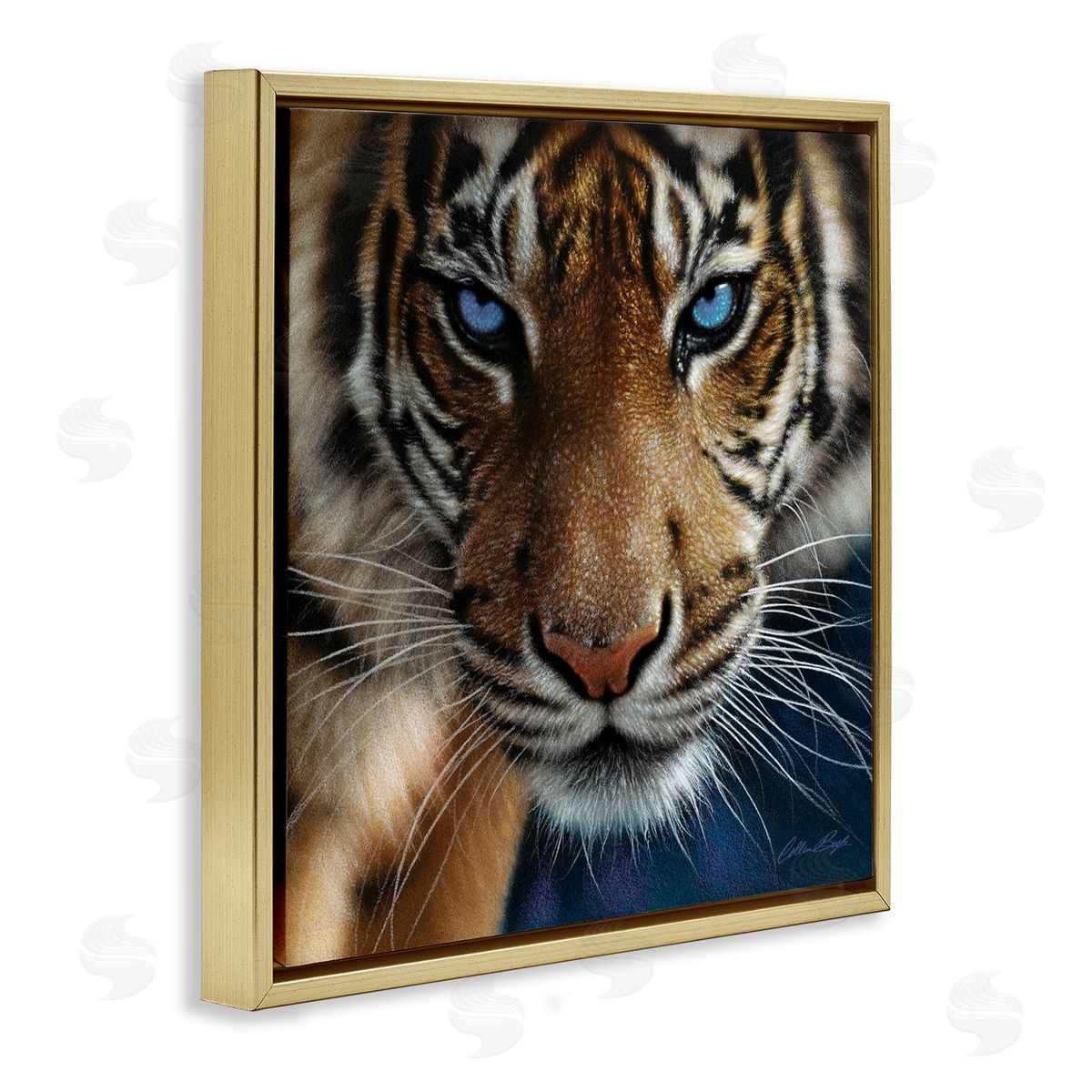 Collin Bogle Blue Eyed Beautiful Fierce Tiger Close Up Detailed Portrait  Gold Floating Frame Canvas Wall Art Print