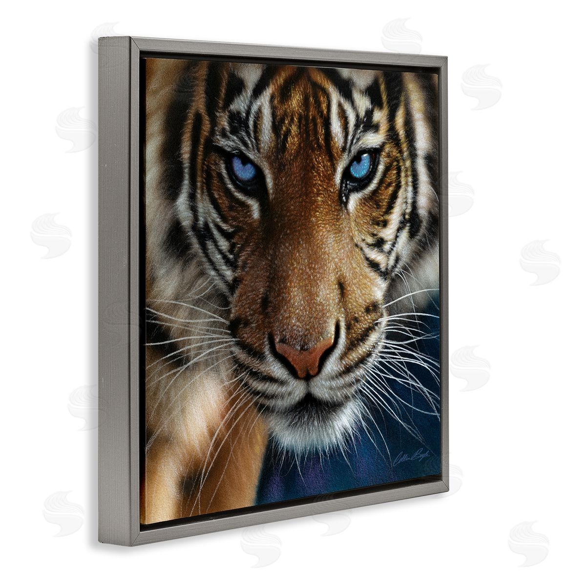 Collin Bogle Blue Eyed Beautiful Fierce Tiger Close Up Detailed Portrait  Gray Floating Frame Canvas Wall Art Print