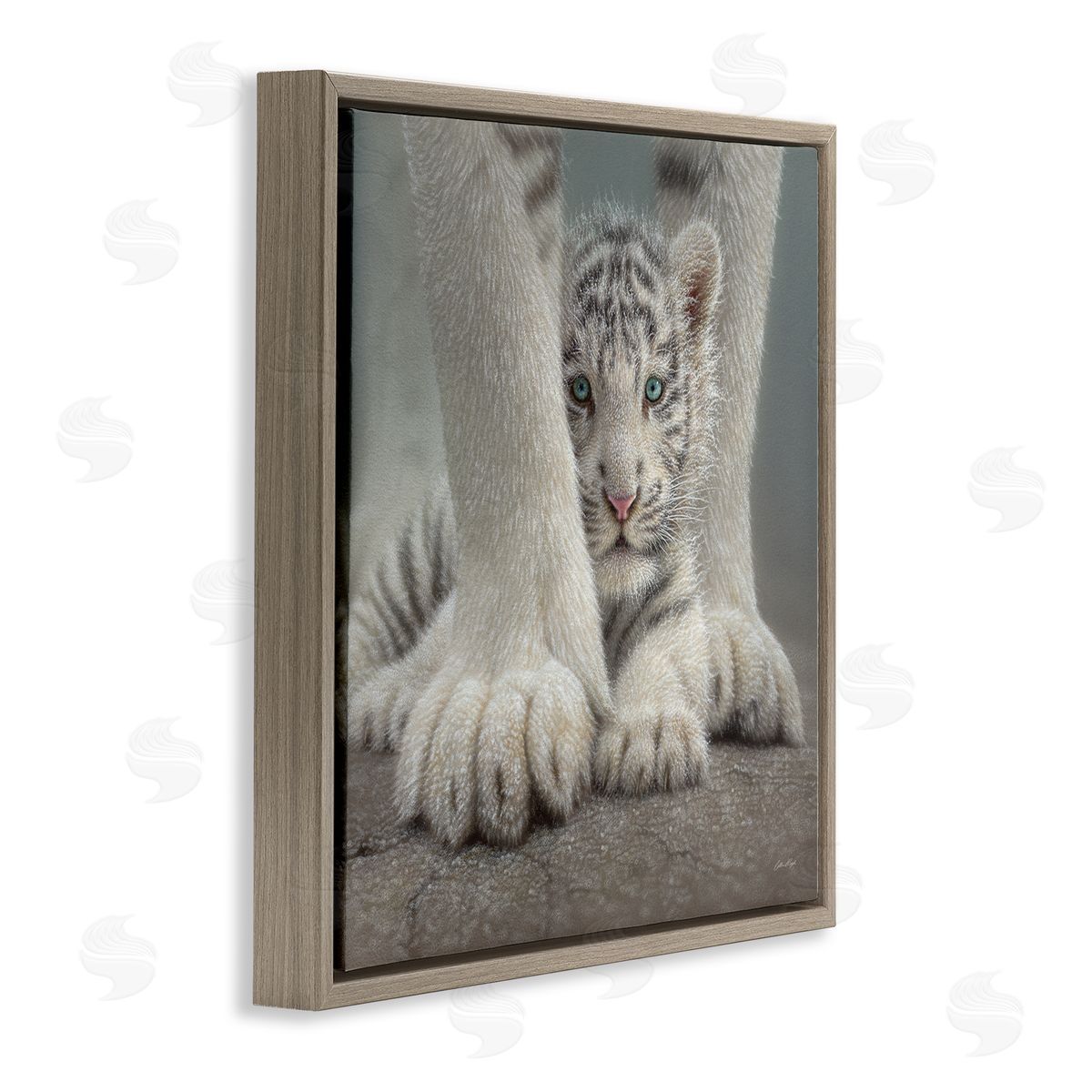 Collin Bogle Adorable Fuzzy Tiger Baby White Bengal With Mother Close Up  Brown Floating Frame Canvas Wall Art Print