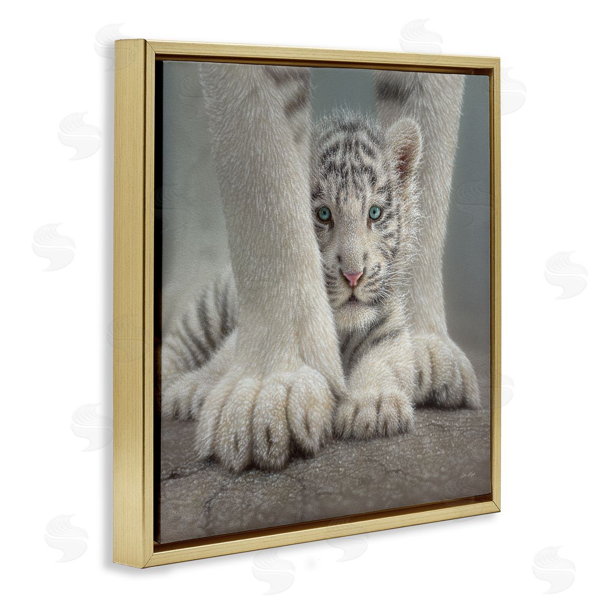 Collin Bogle Adorable Fuzzy Tiger Baby White Bengal With Mother Close Up  Gold Floating Frame Canvas Wall Art Print