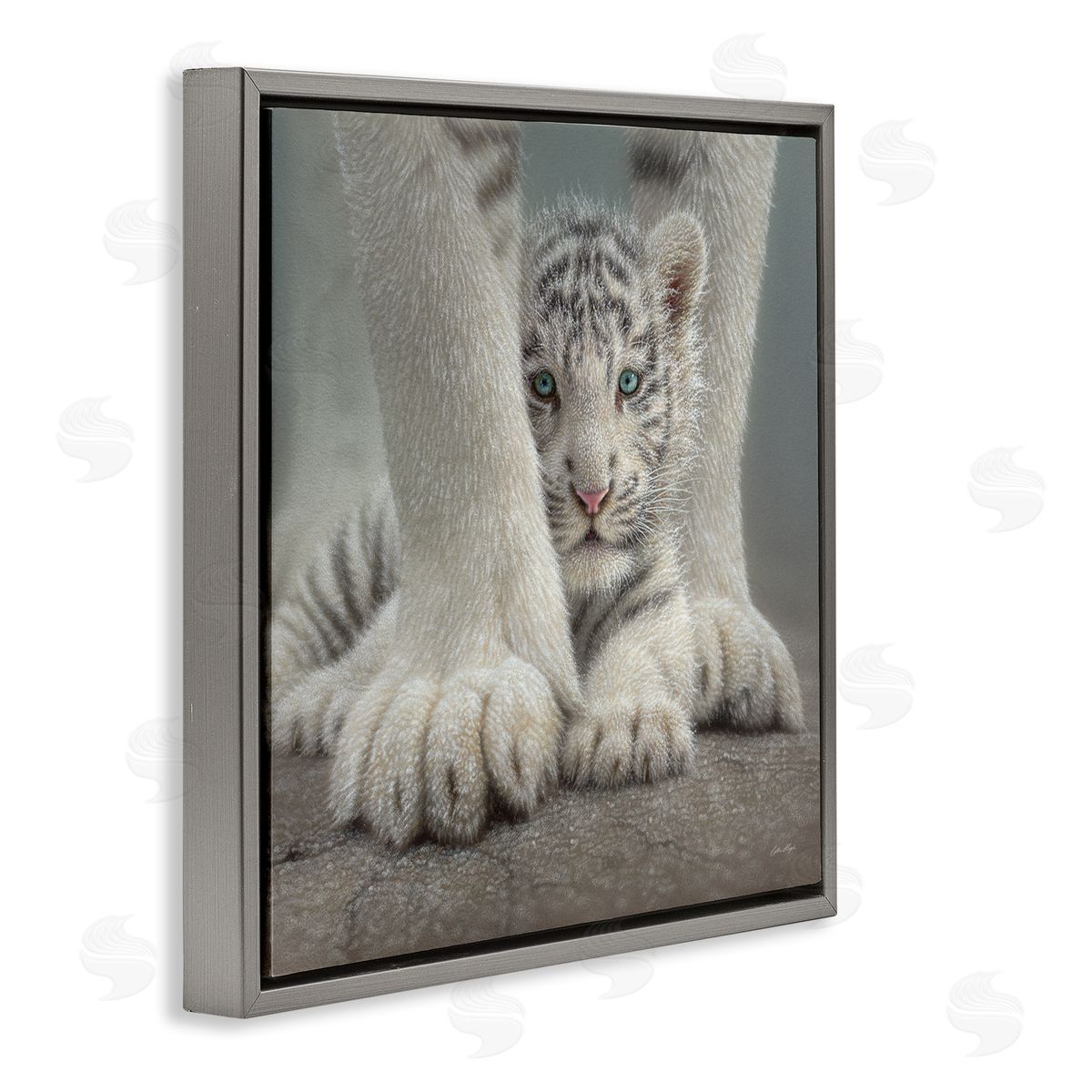 Collin Bogle Adorable Fuzzy Tiger Baby White Bengal With Mother Close Up  Gray Floating Frame Canvas Wall Art Print