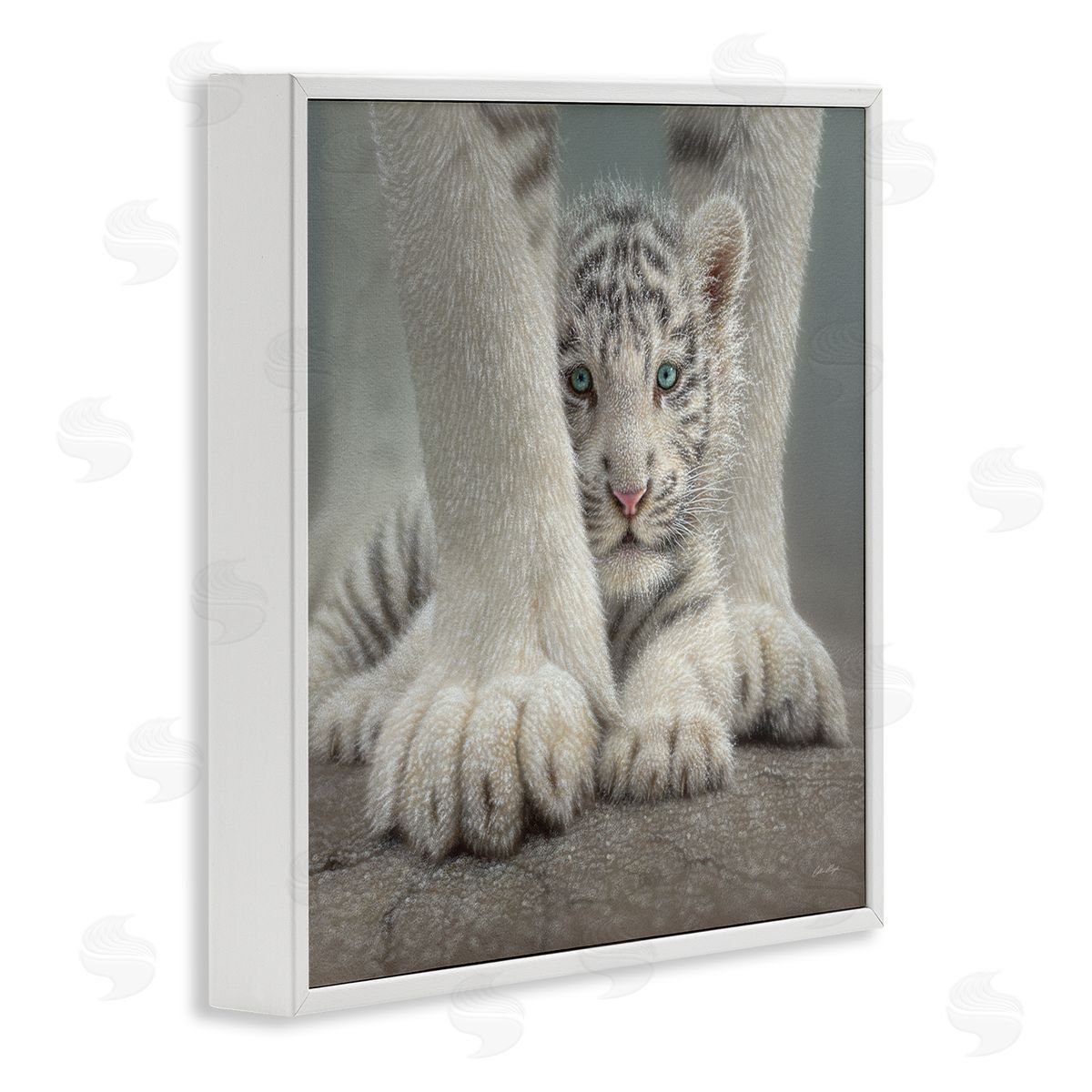 Collin Bogle Adorable Fuzzy Tiger Baby White Bengal With Mother Close Up  White Framed Glicee Wall Art Print