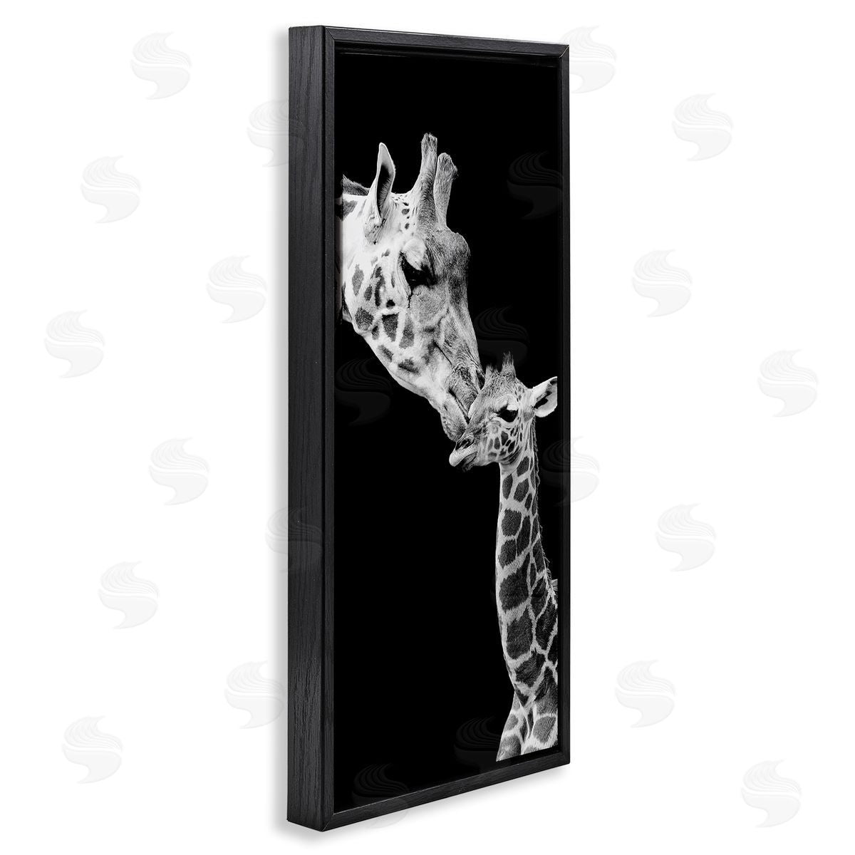 Incado Beautiful Baby Giraffe_side Loving Mother Monochrome Portrait