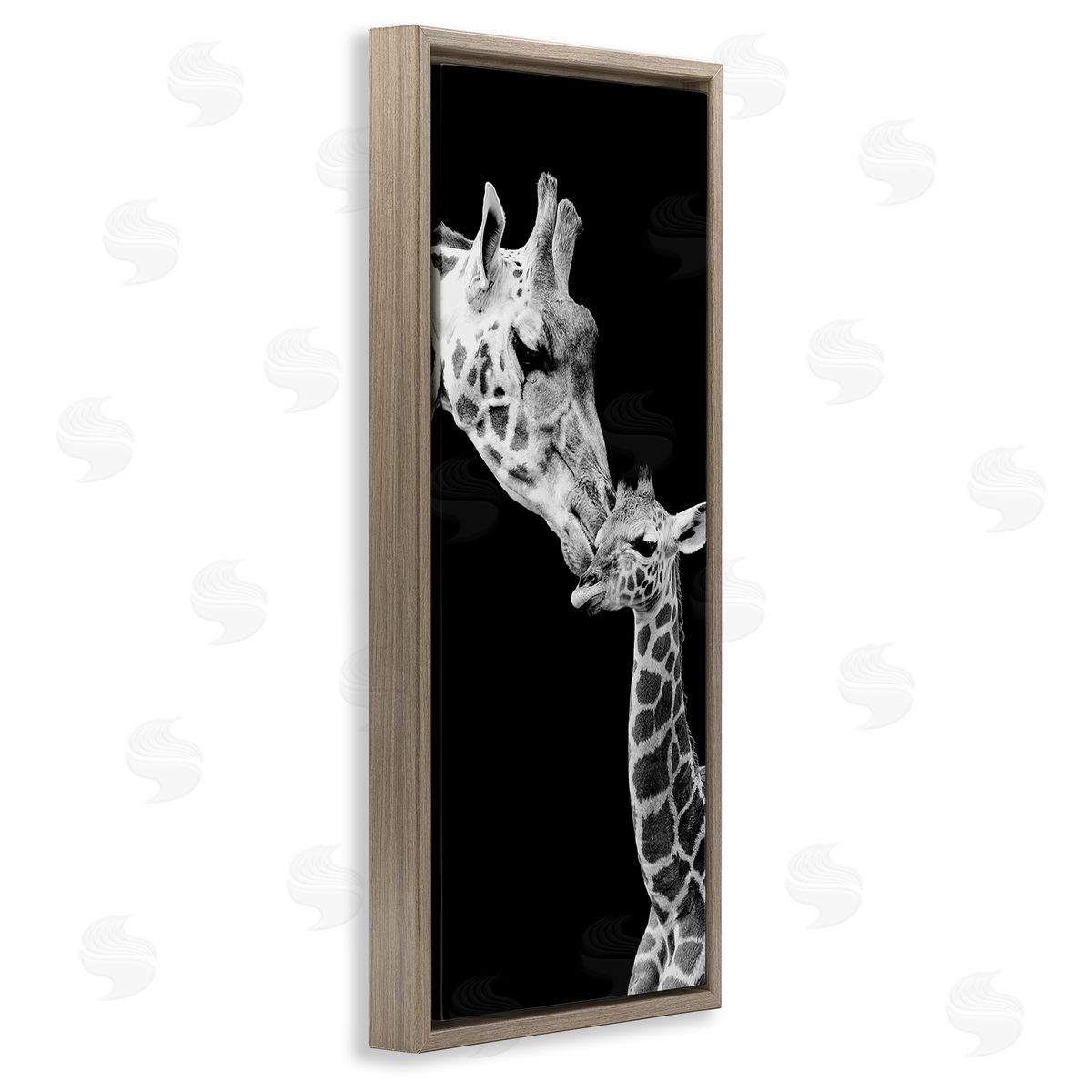 Incado Beautiful Baby Giraffe_side Loving Mother Monochrome Portrait