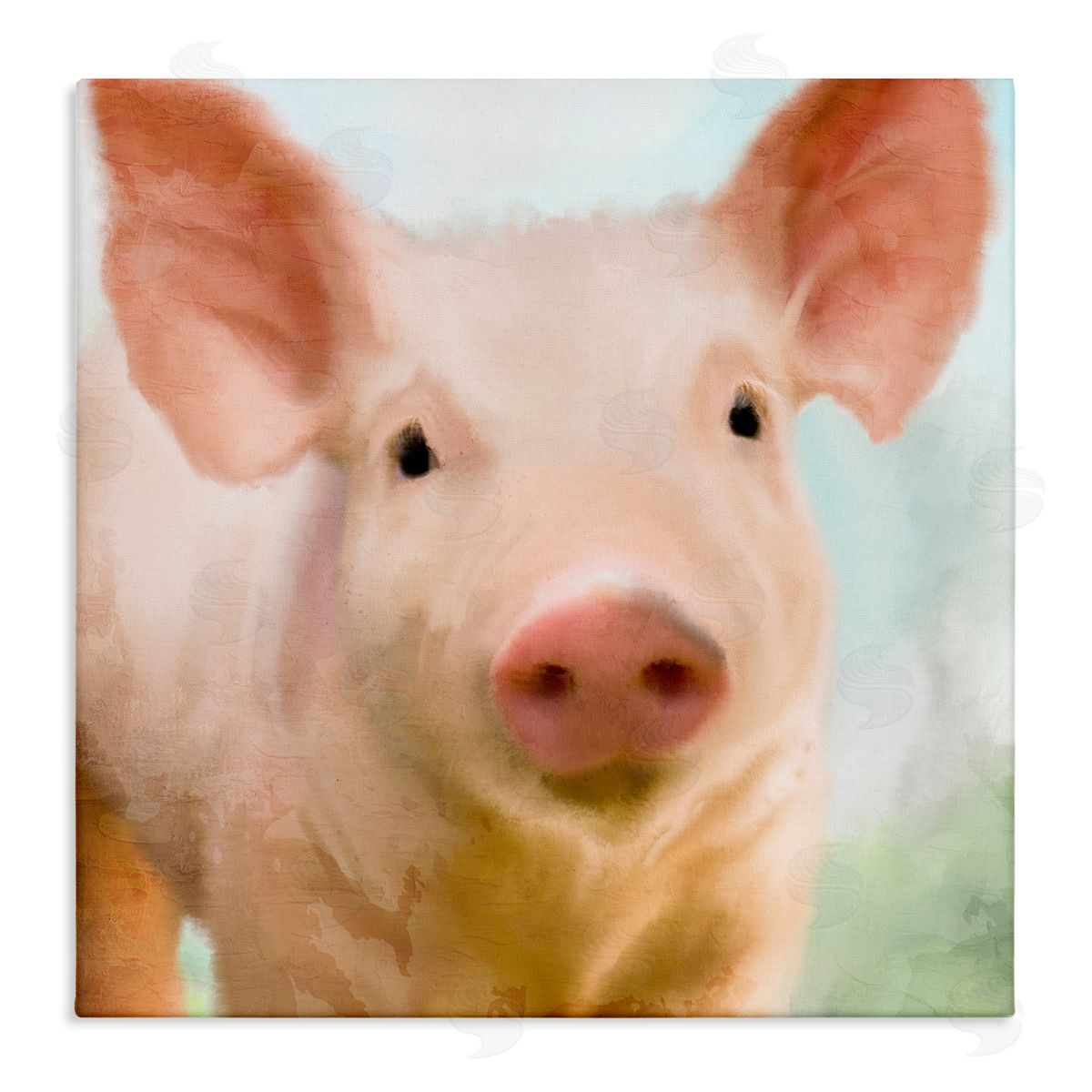 Kim Allen Playful Pink Landrace Pig Closeup Portrait Painting Stretched Canvas Wall Art Print