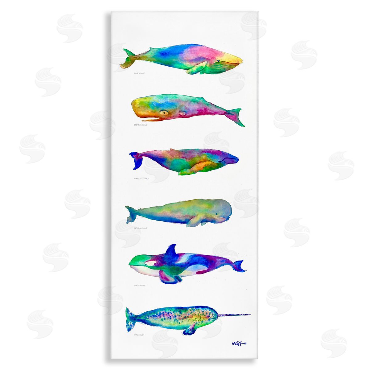 MB Cunningham Bold Kaleidoscopic Whale Narwhal Types Sea Life Chart