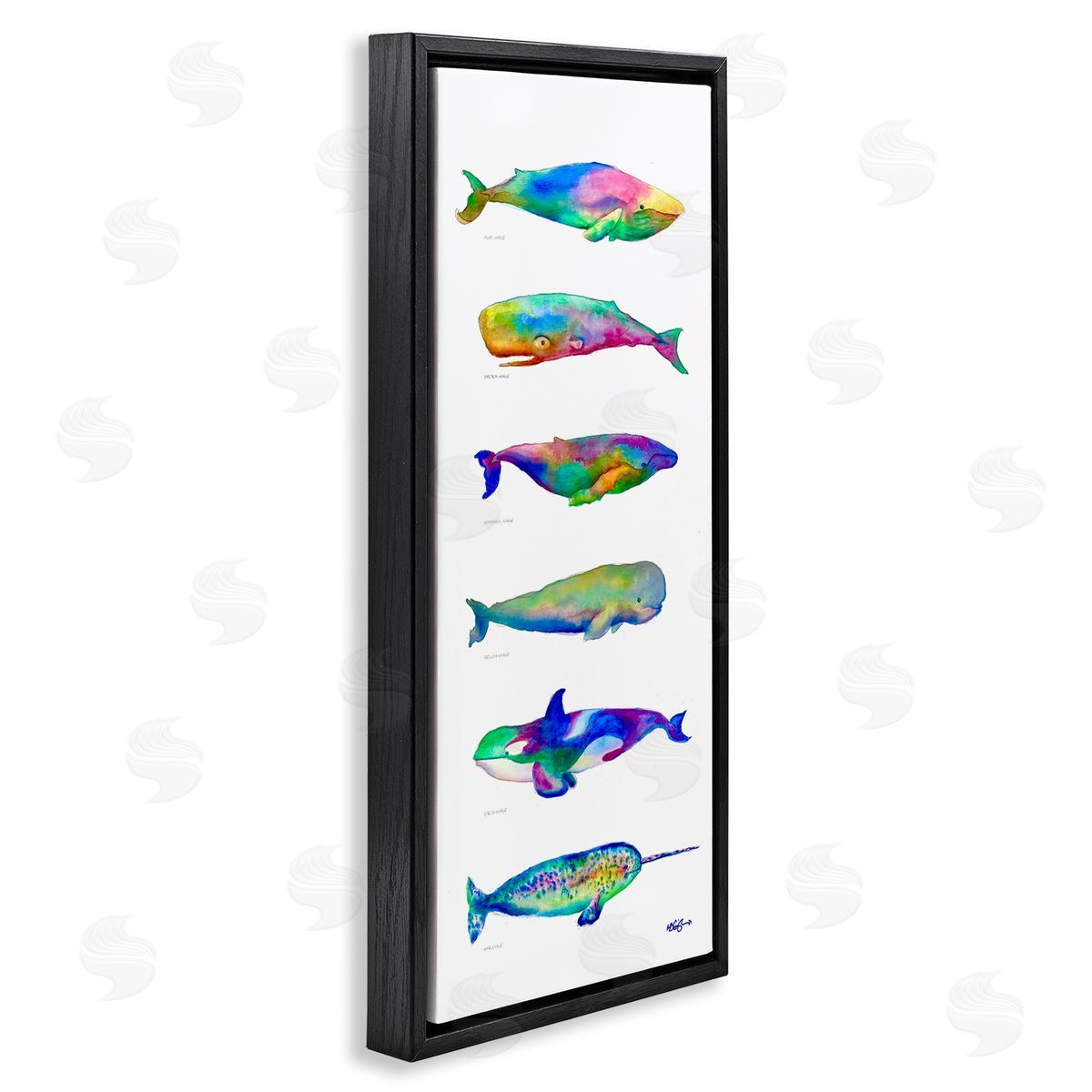 MB Cunningham Bold Kaleidoscopic Whale Narwhal Types Sea Life Chart