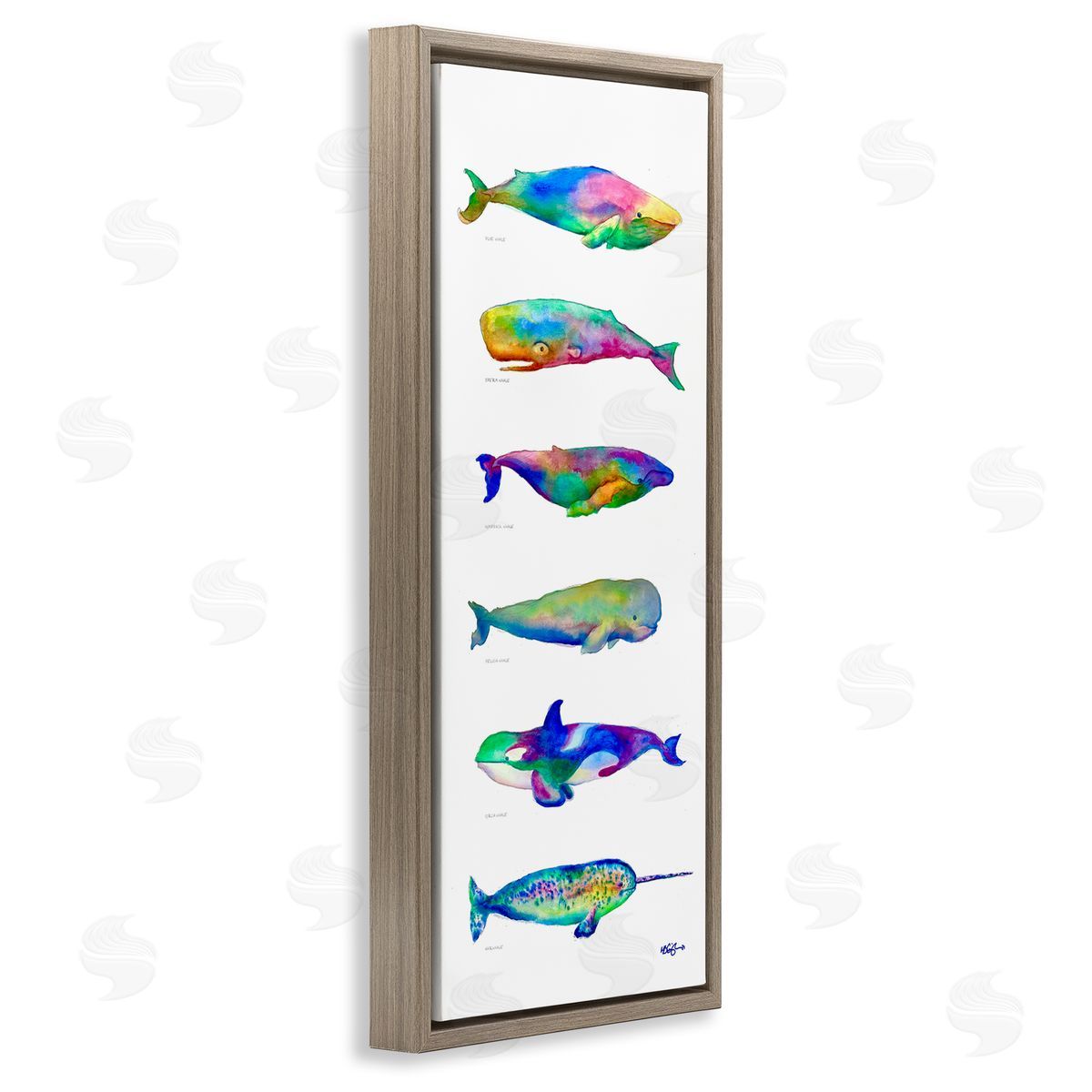 MB Cunningham Bold Kaleidoscopic Whale Narwhal Types Sea Life Chart
