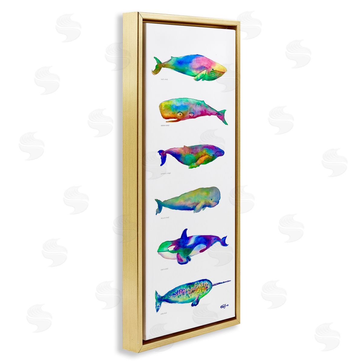 MB Cunningham Bold Kaleidoscopic Whale Narwhal Types Sea Life Chart