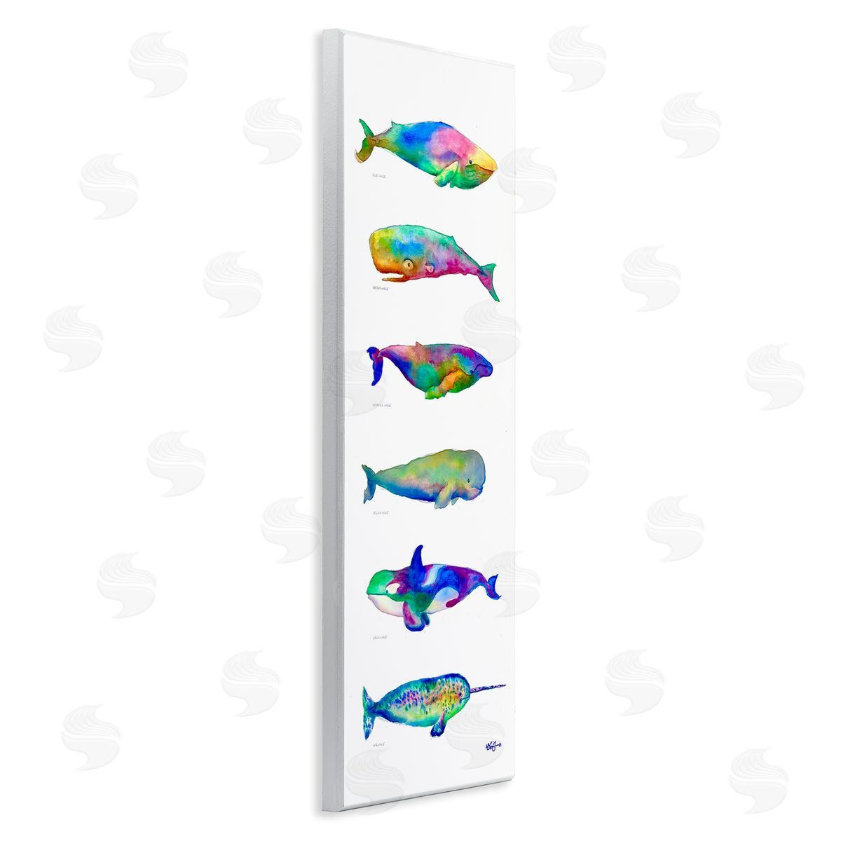 MB Cunningham Bold Kaleidoscopic Whale Narwhal Types Sea Life Chart