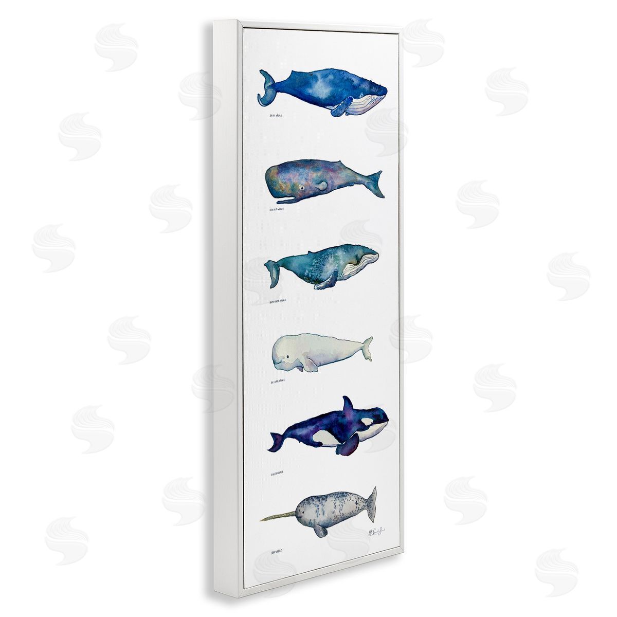 Maritime Sea Life Chart White Frame Print Wall Art, Home Decor by MB Cunningham