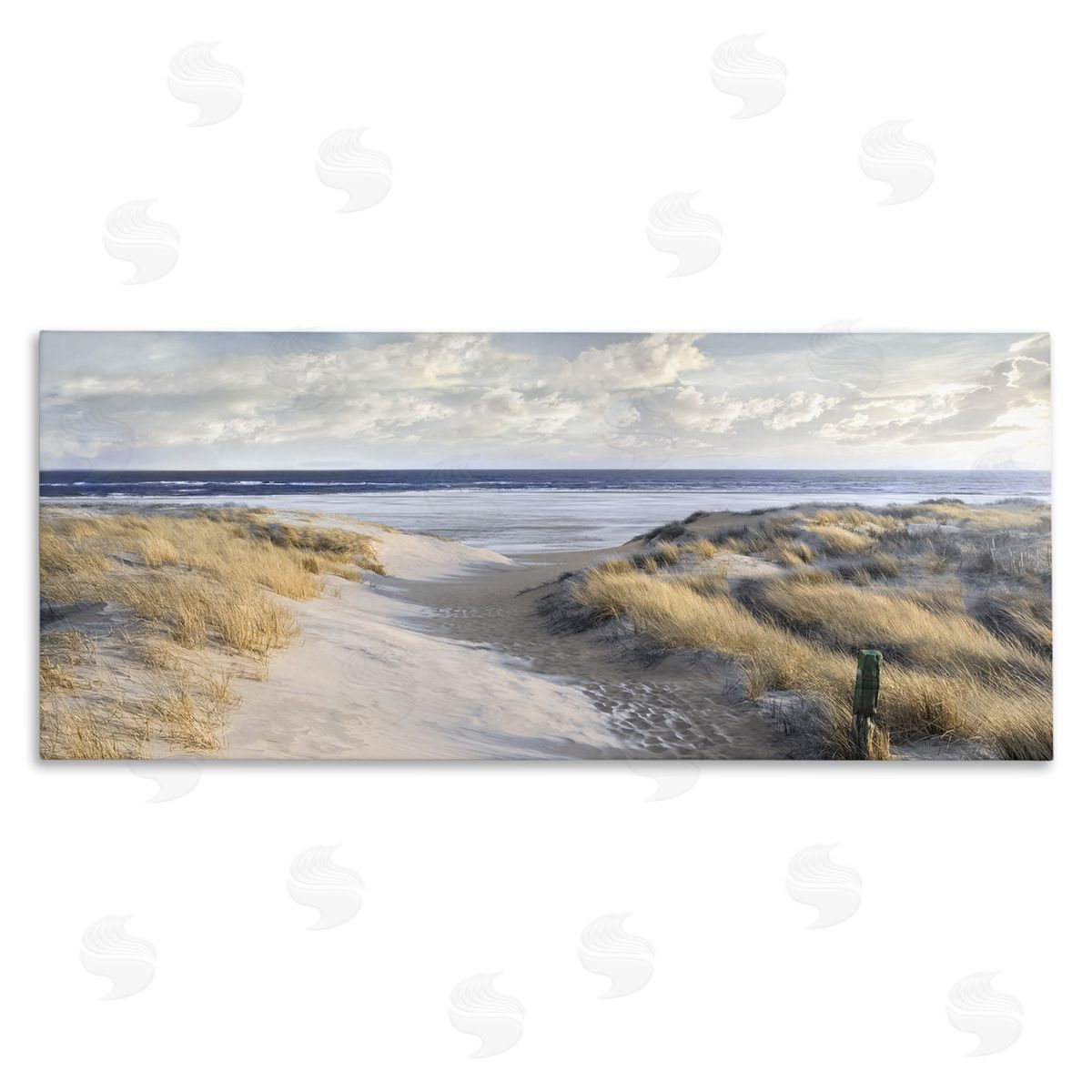 Mike Calascibetta Panoramic Beach Coastline Sand Dunes Fluffy Clouds 