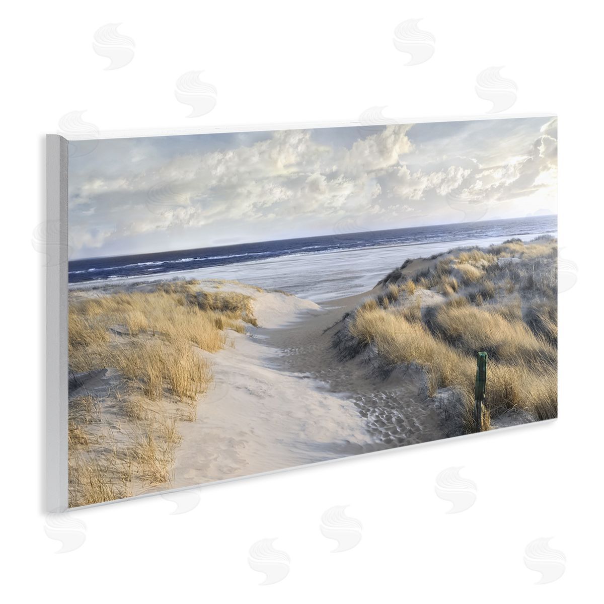 Mike Calascibetta Panoramic Beach Coastline Sand Dunes Fluffy Clouds 