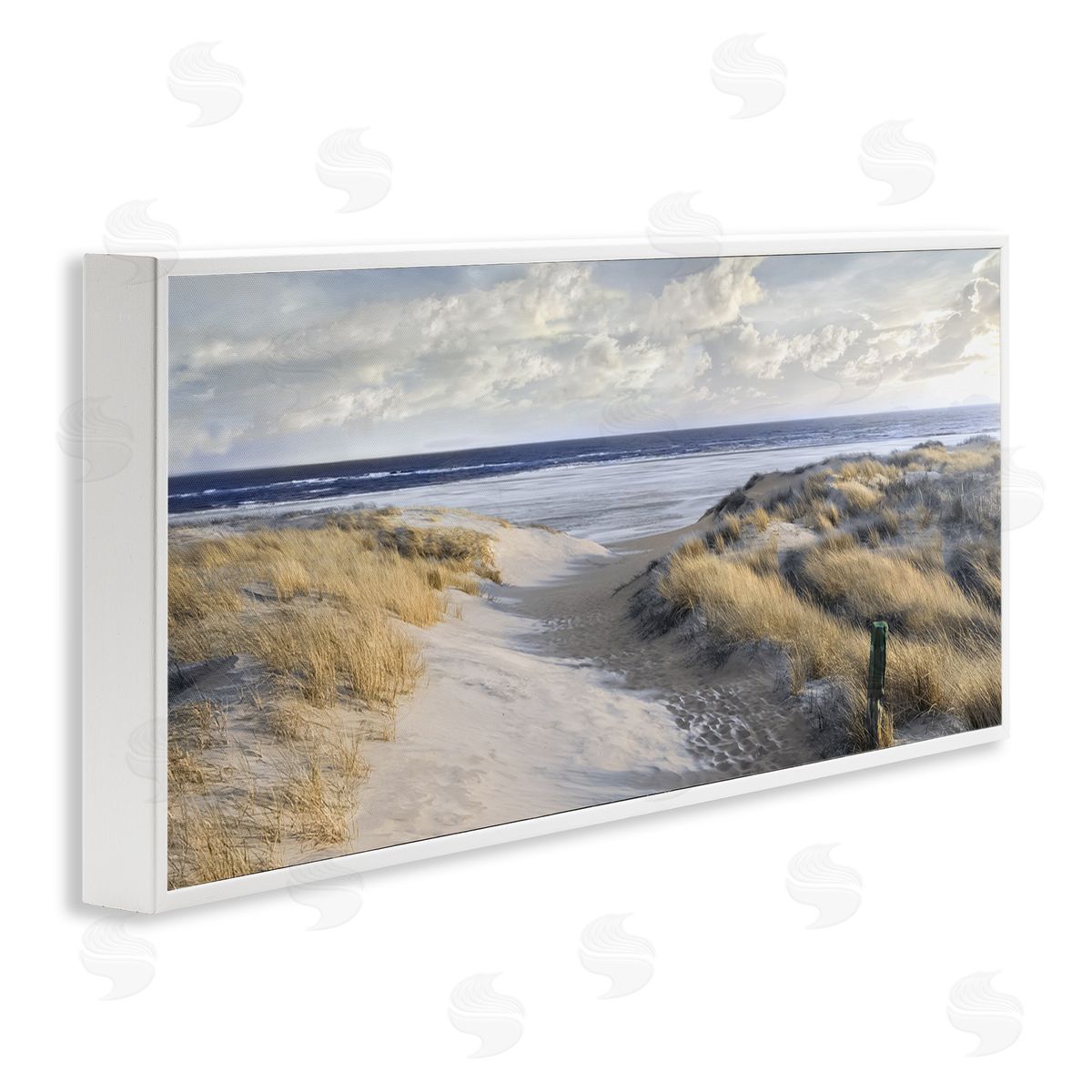 Mike Calascibetta Panoramic Beach Coastline Sand Dunes Fluffy Clouds 