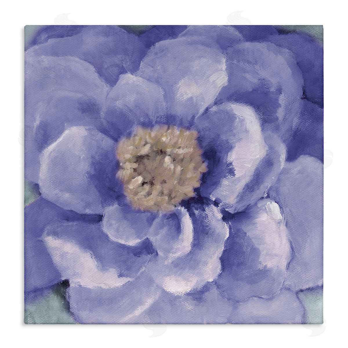 Lanie Loreth Closeup Purple Anemone Flower Blossom Illustration  Stretched Canvas Wall Art Print