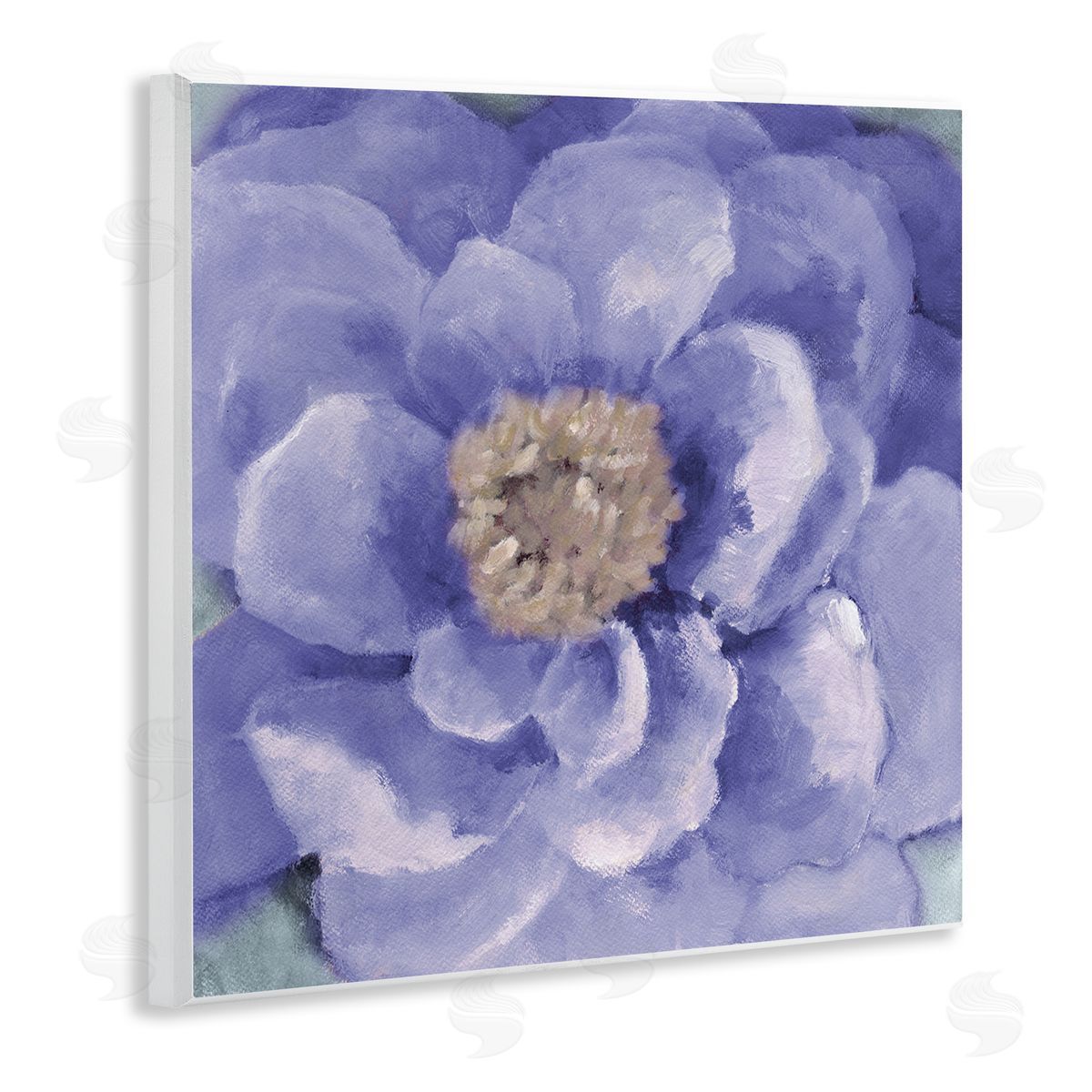 Lanie Loreth Closeup Purple Anemone Flower Blossom Illustration  Wooden Wall Plaque Art Print