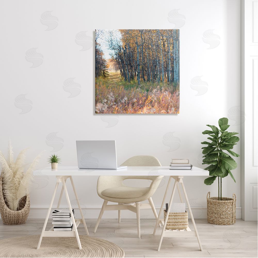 Carol Robinson Autumn Birch Trees Grassy Path Woodlands Photography Canvas Wall Art in Room