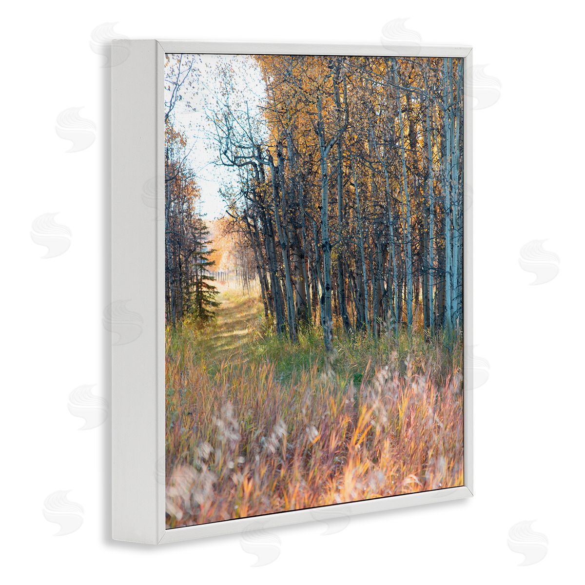 Carol Robinson Autumn Birch Trees Grassy Path Woodlands Photography White Framed Glicee Wall Art Print