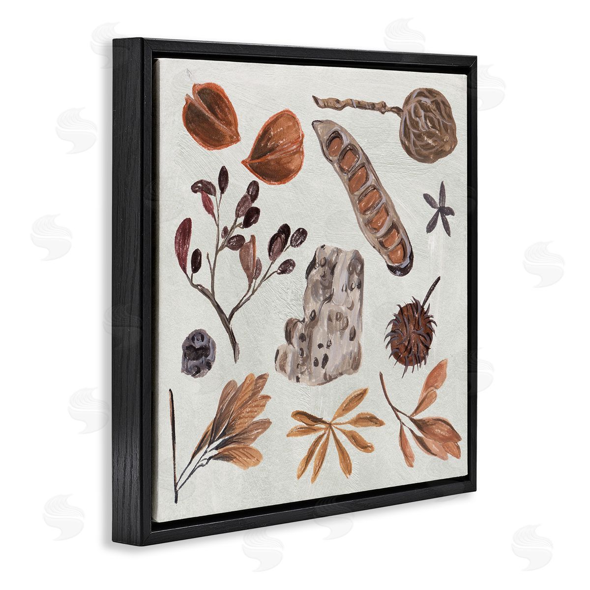 Melissa Wang Brown Seed Leaf Nut Botanicals Nature  Black Floating Frame Canvas Wall Art Print