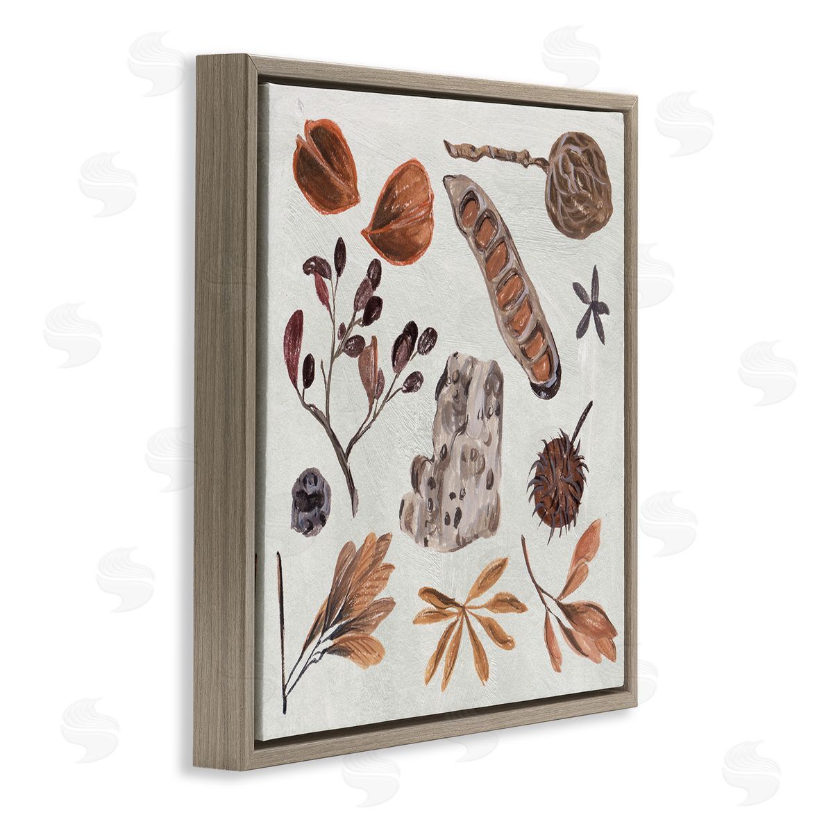 Melissa Wang Brown Seed Leaf Nut Botanicals Nature  Brown Floating Frame Canvas Wall Art Print