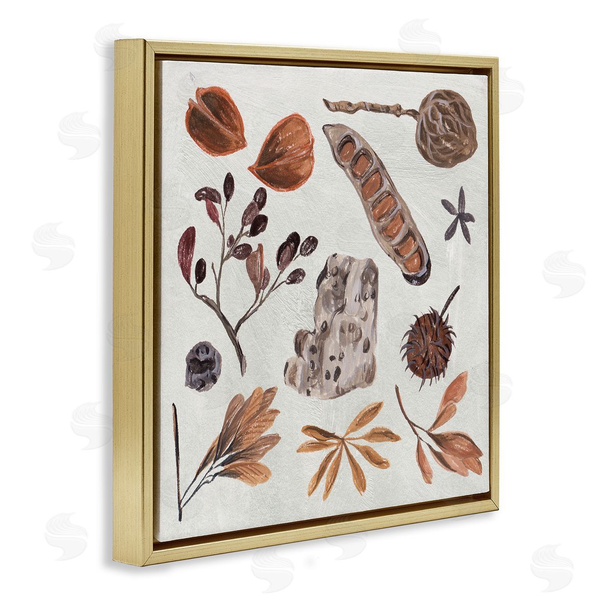 Melissa Wang Brown Seed Leaf Nut Botanicals Nature  Gold Floating Frame Canvas Wall Art Print