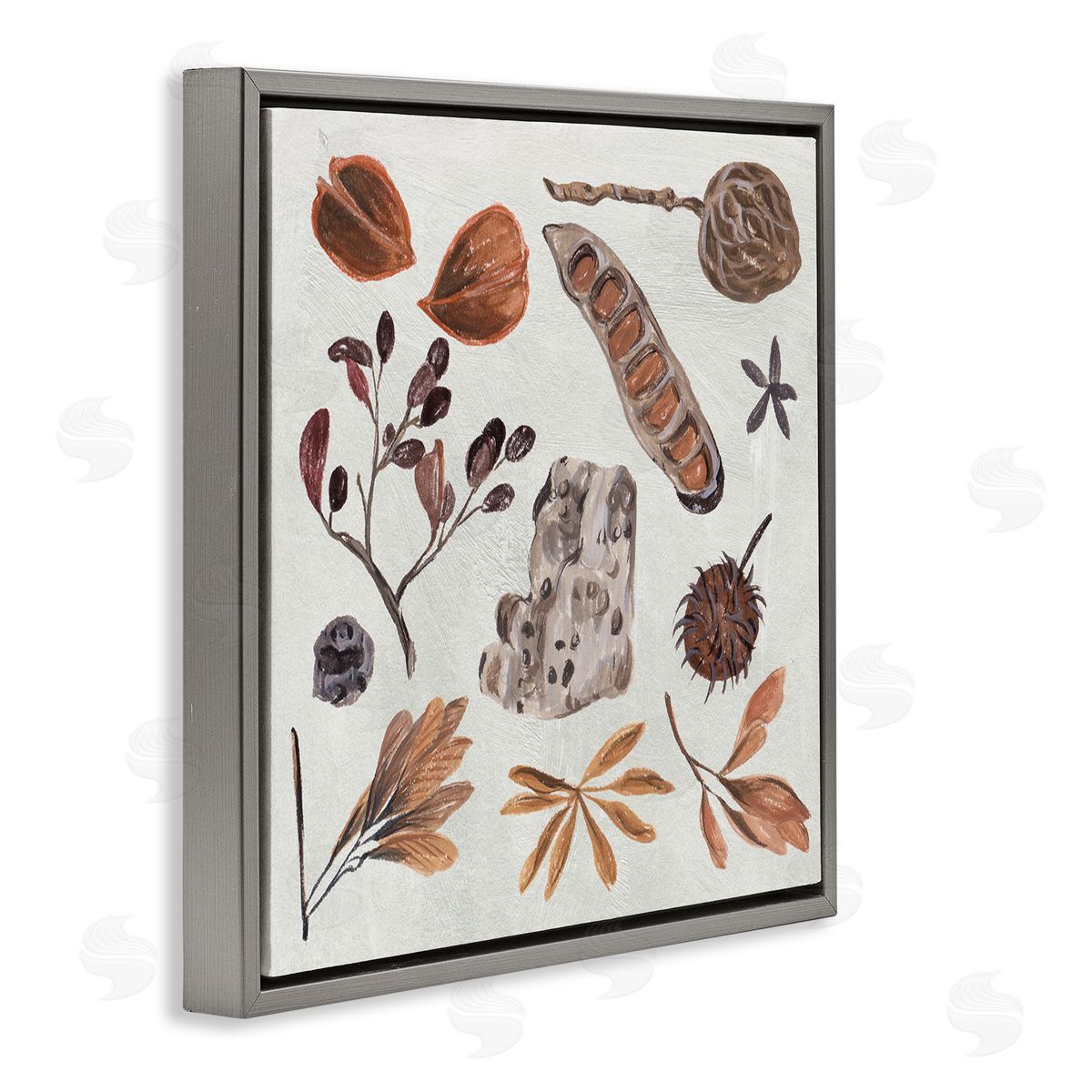 Melissa Wang Brown Seed Leaf Nut Botanicals Nature  Gray Floating Frame Canvas Wall Art Print