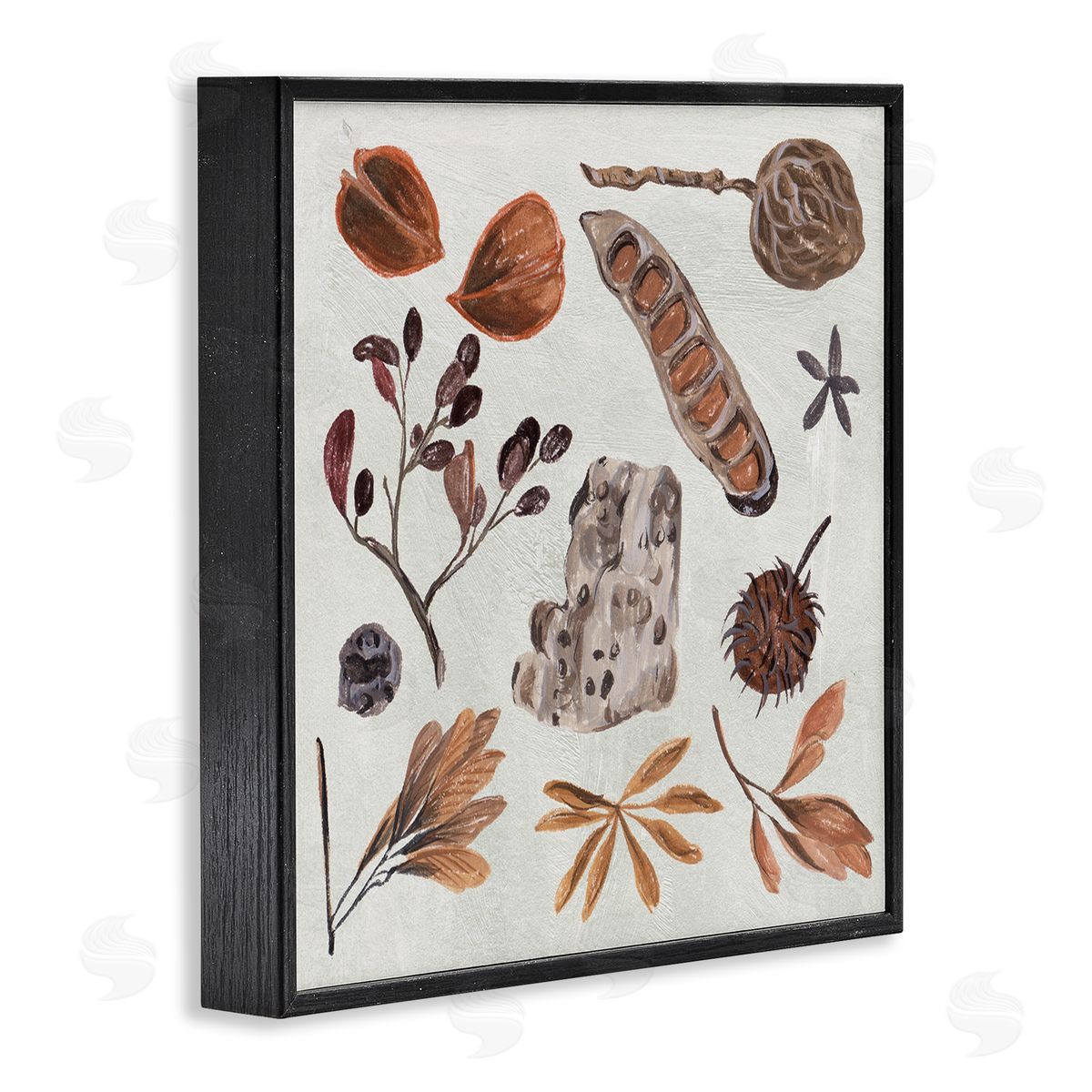 Melissa Wang Brown Seed Leaf Nut Botanicals Nature  Black Framed Glicee Wall Art Print