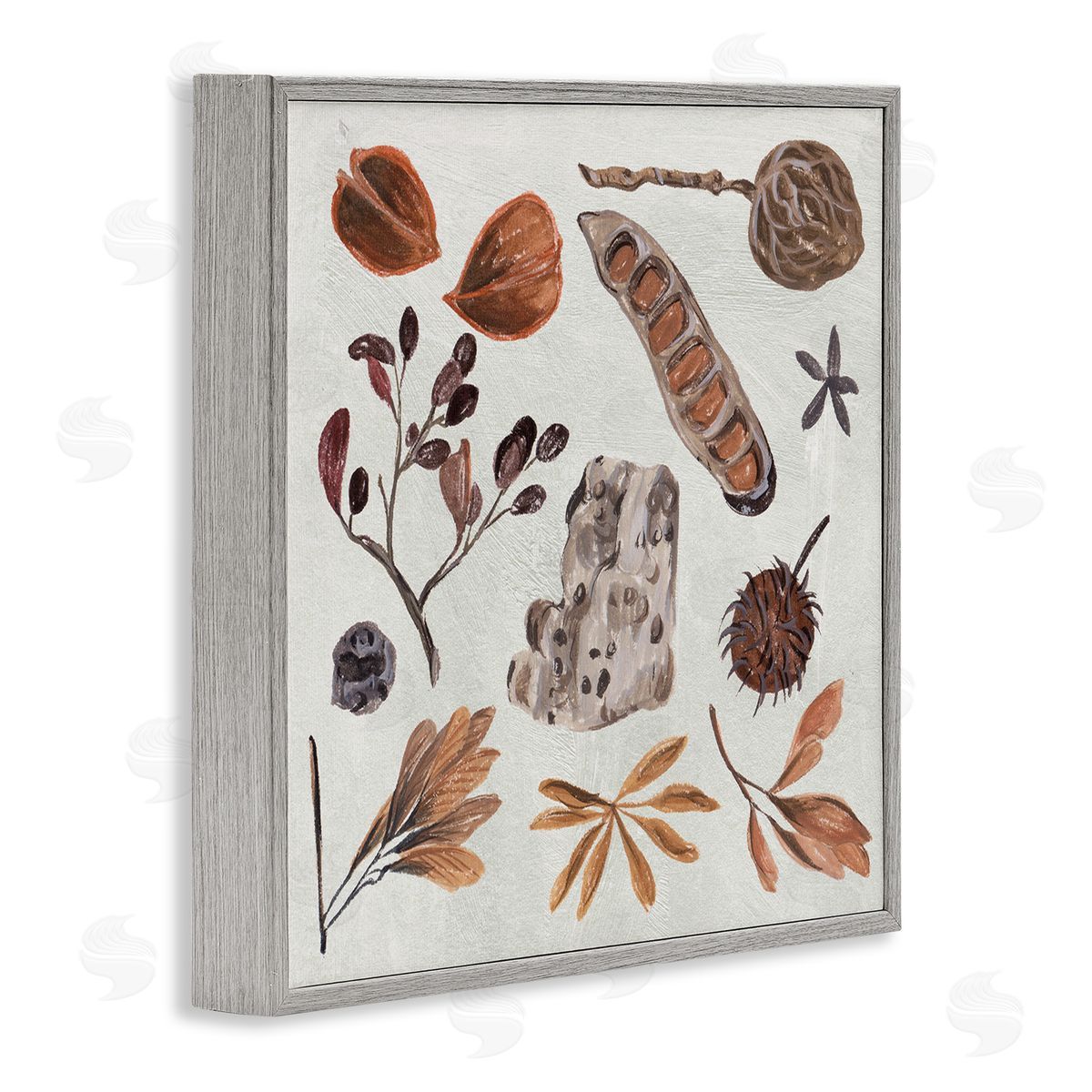 Melissa Wang Brown Seed Leaf Nut Botanicals Nature  Gray Framed Glicee Wall Art Print