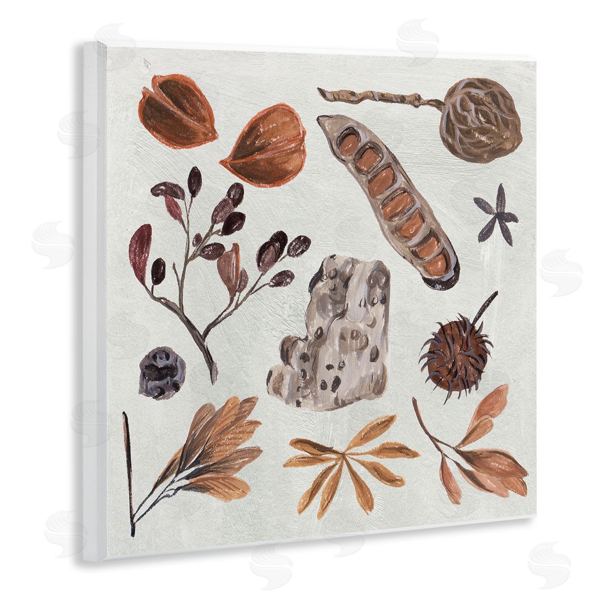 Melissa Wang Brown Seed Leaf Nut Botanicals Nature  Wooden Wall Plaque Art Print