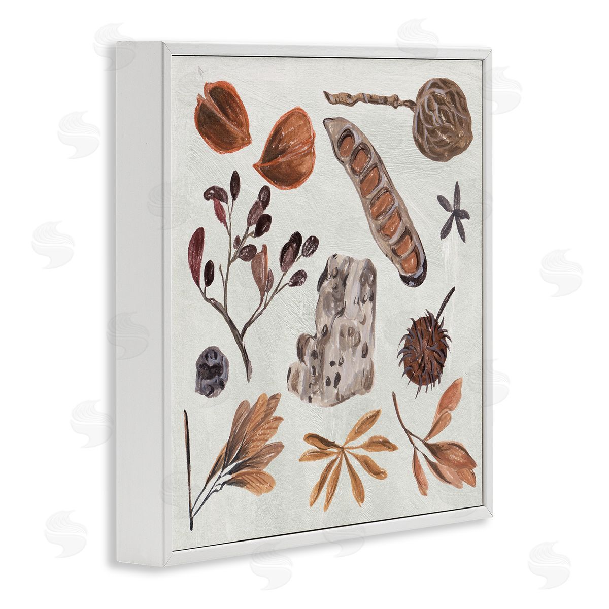 Melissa Wang Brown Seed Leaf Nut Botanicals Nature  White Framed Glicee Wall Art Print