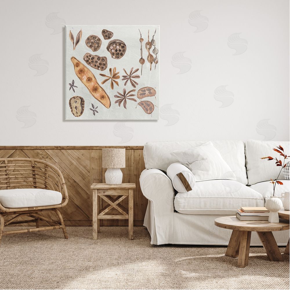 Melissa Wang Brown Seed Plant Botanicals Nature Diagram  Canvas Wall Art in Room