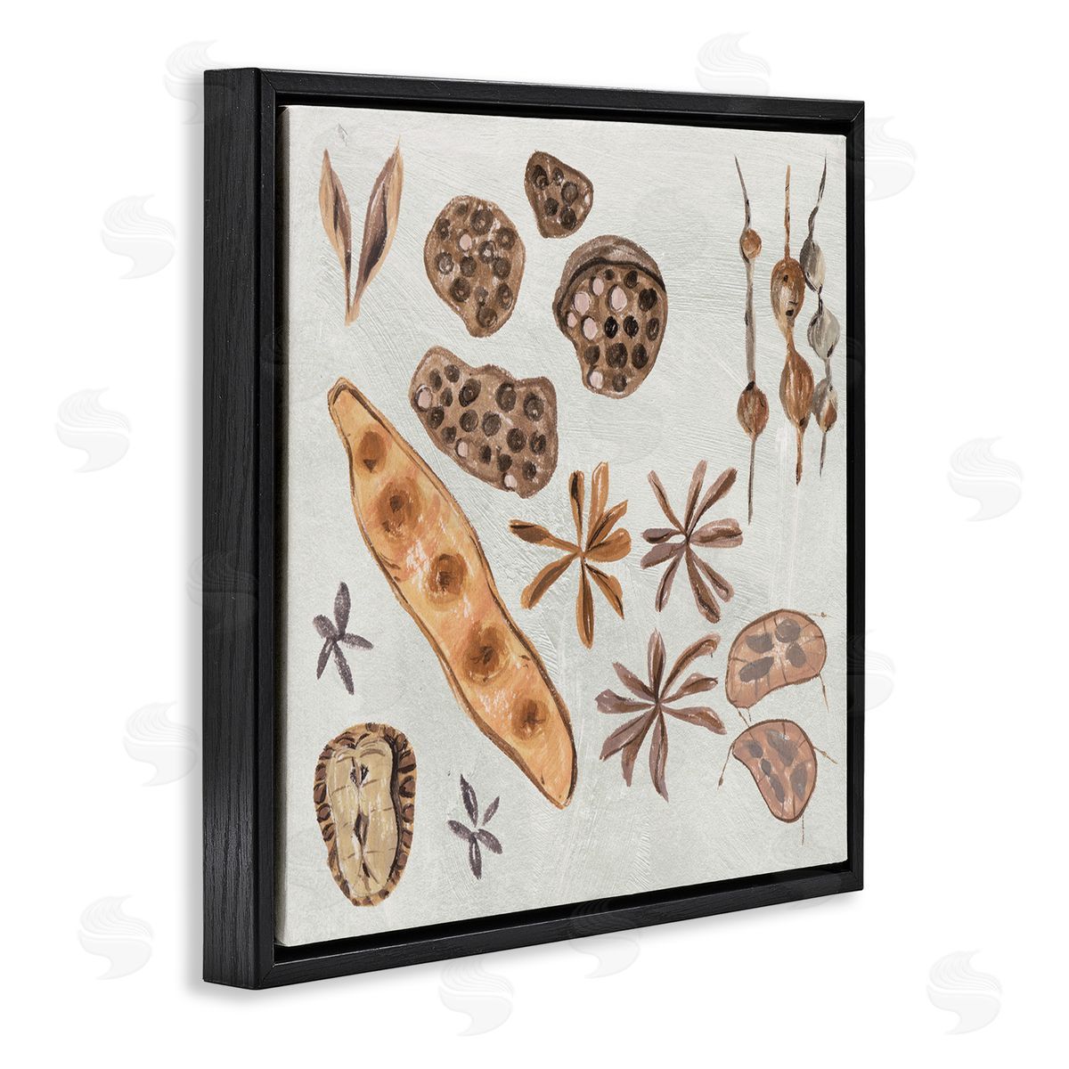 Melissa Wang Brown Seed Plant Botanicals Nature Diagram  Black Floating Frame Canvas Wall Art Print