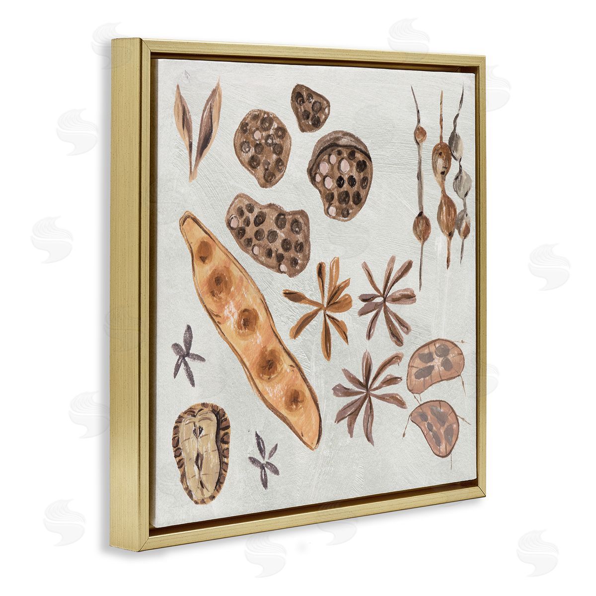 Melissa Wang Brown Seed Plant Botanicals Nature Diagram  Gold Floating Frame Canvas Wall Art Print