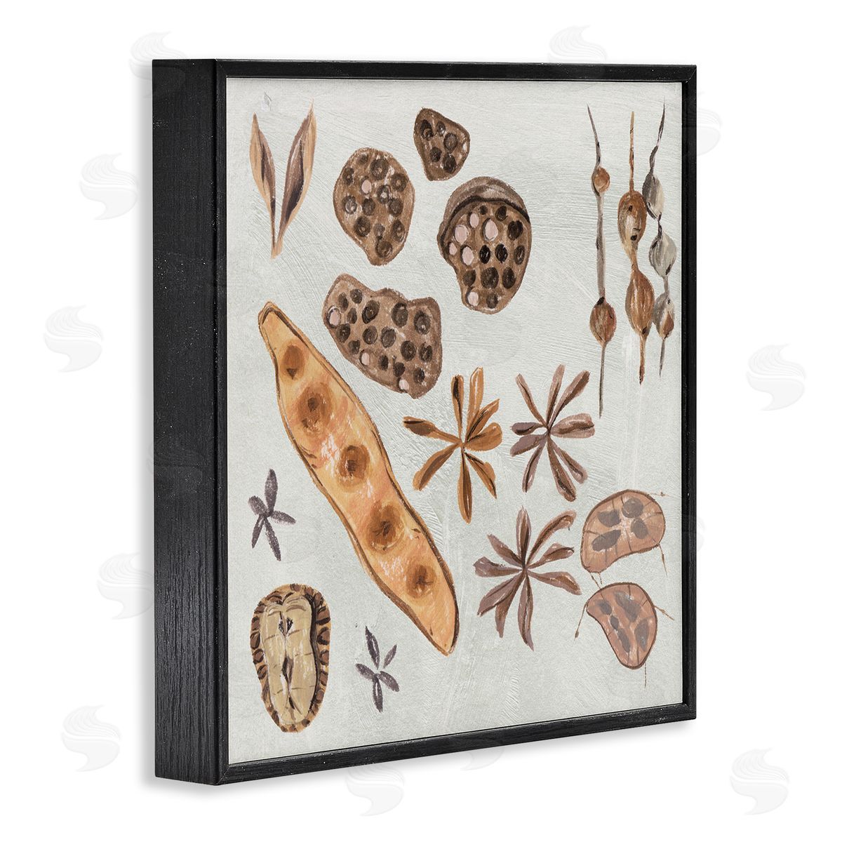 Melissa Wang Brown Seed Plant Botanicals Nature Diagram  Black Framed Glicee Wall Art Print