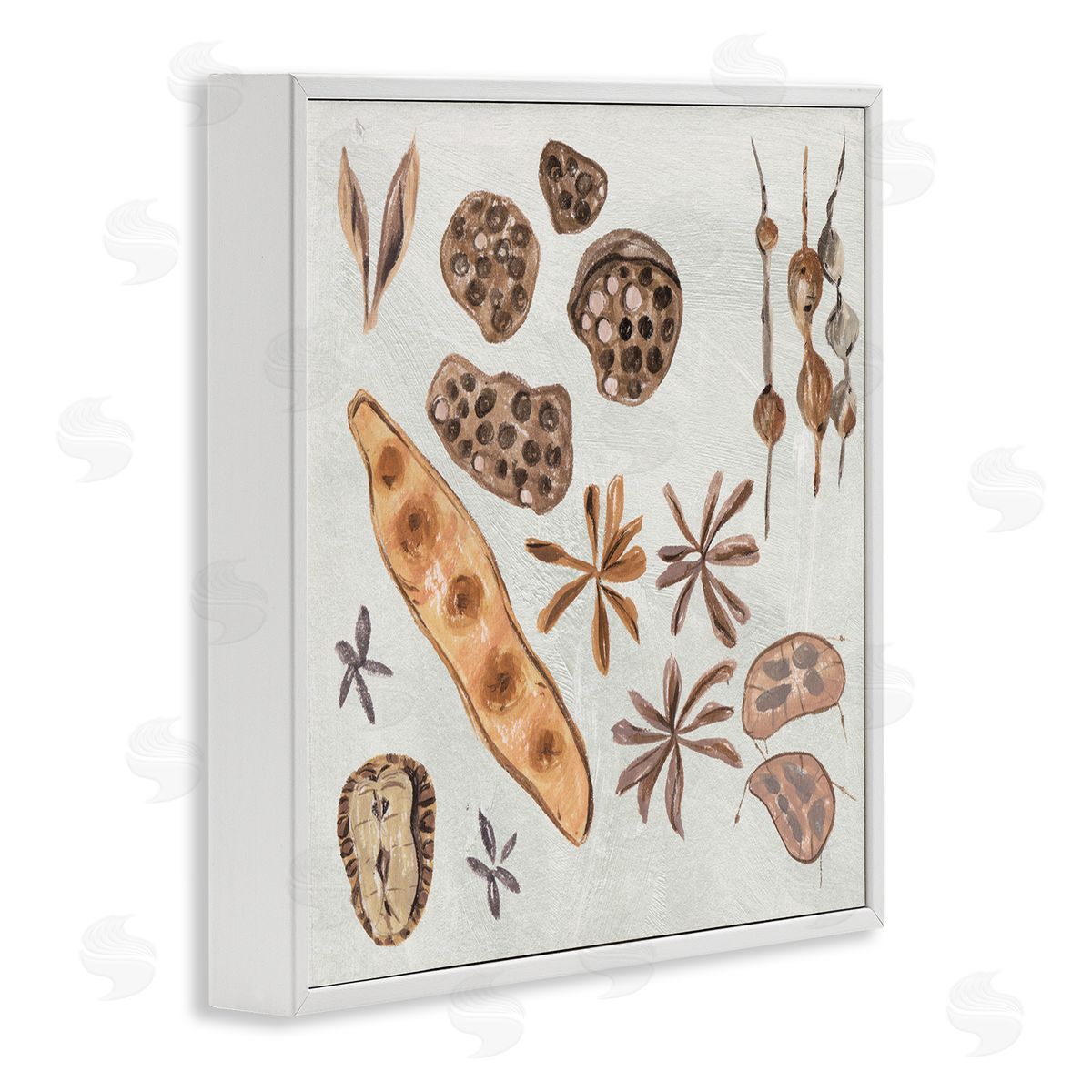 Melissa Wang Brown Seed Plant Botanicals Nature Diagram  White Framed Glicee Wall Art Print