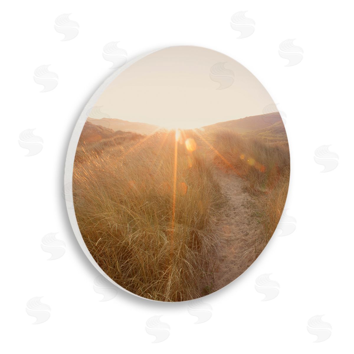 Ian Winstanley Sunrays Through Sun Bleached Sand Dunes Tall Grass Wooden Wall Plaque Art Print
