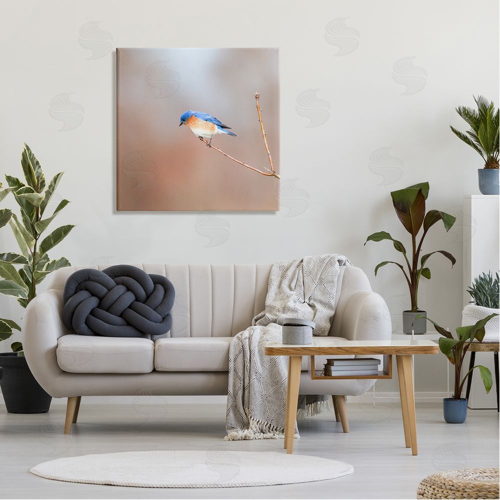 Daniel Sproul Lone Blue Jay Bird Tree Simple Design  Canvas Wall Art in Room